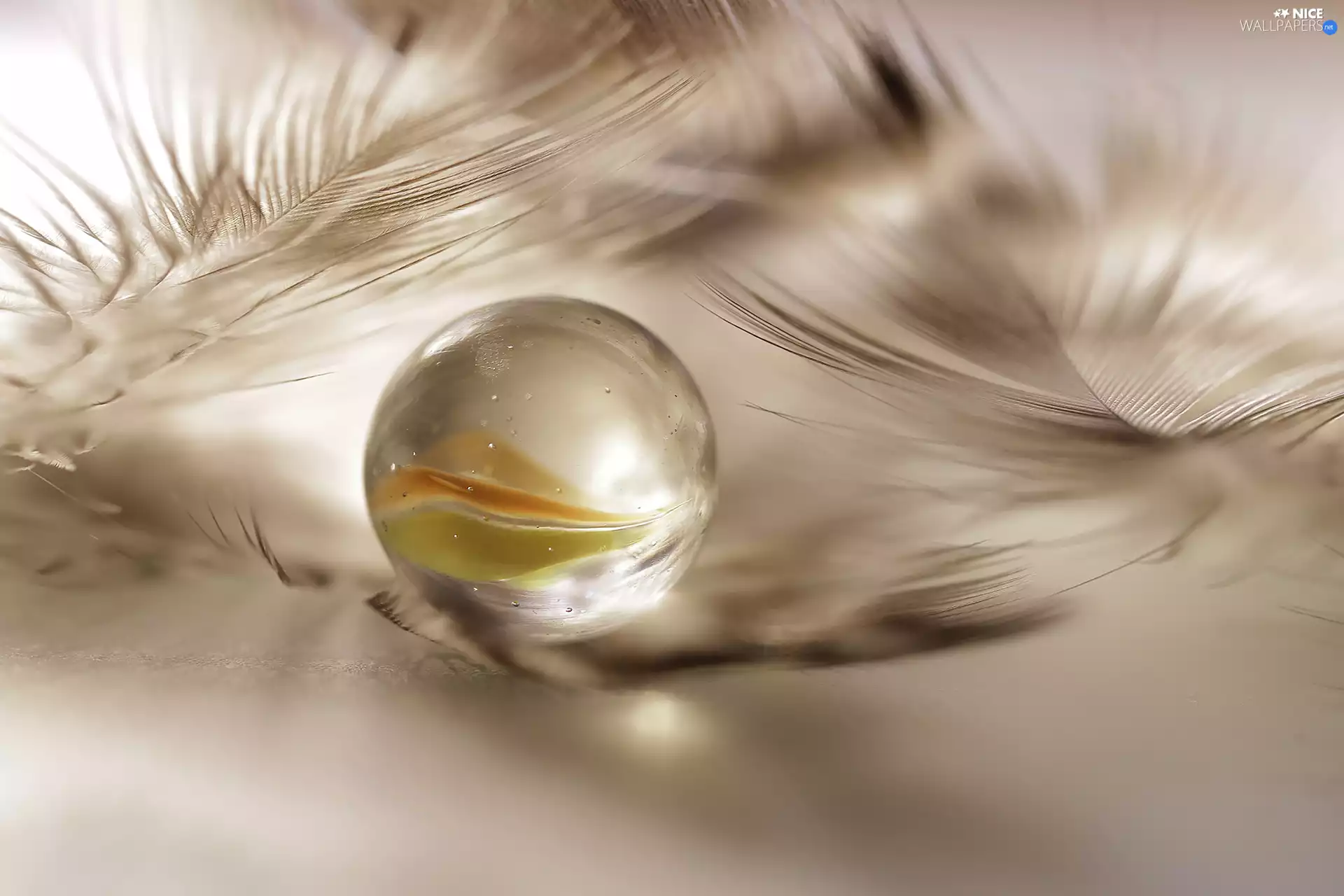 Glass, pen, Close, ball