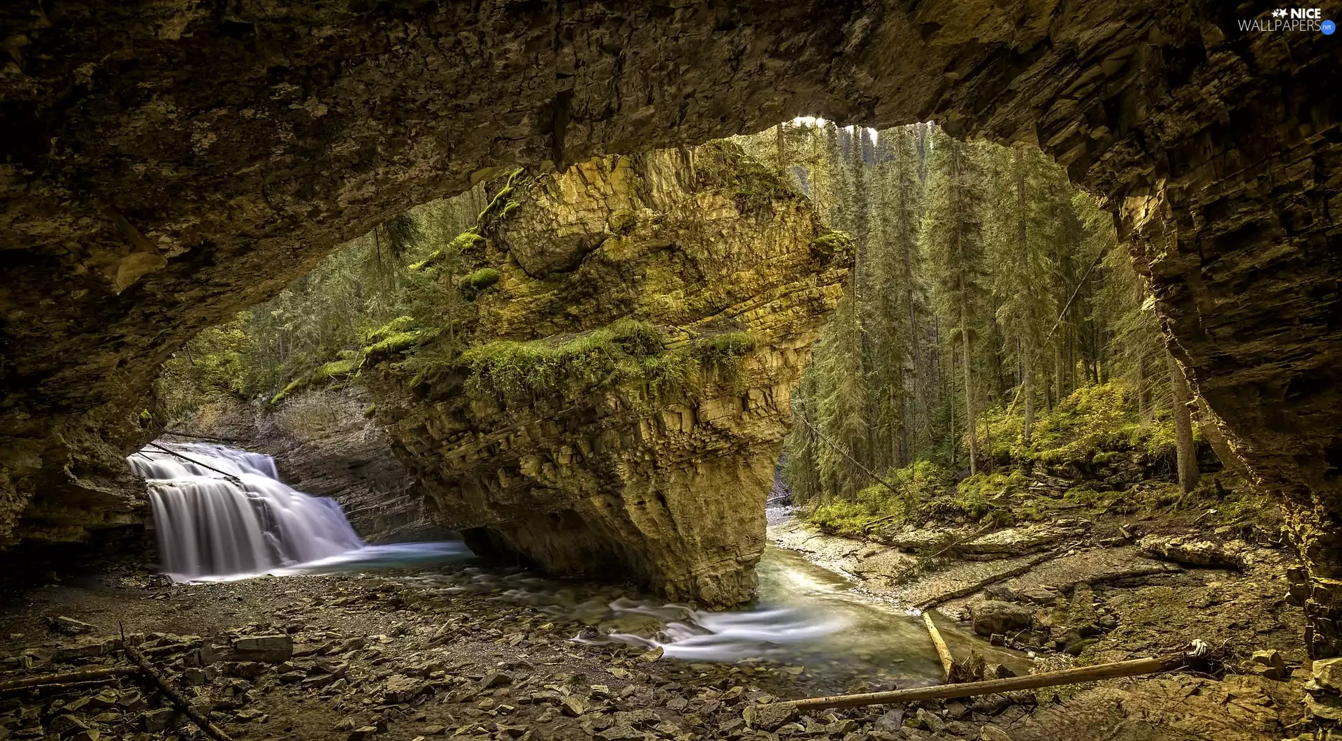 Johnston Canyon, cave, viewes, Rocks, trees, Banff National Park, Canada, waterfall