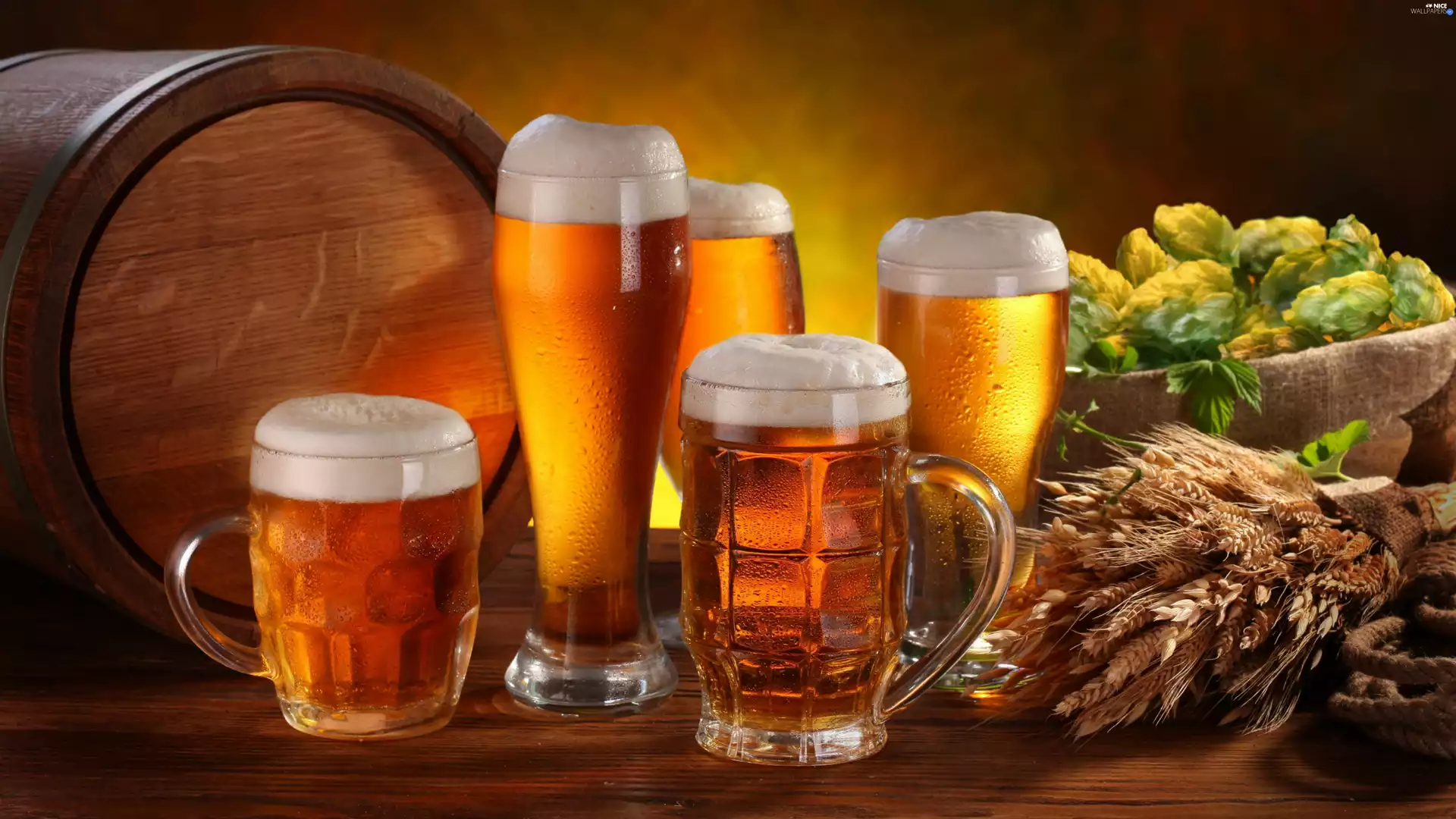 barrel, Beer, hop, barley, cones, Mugs