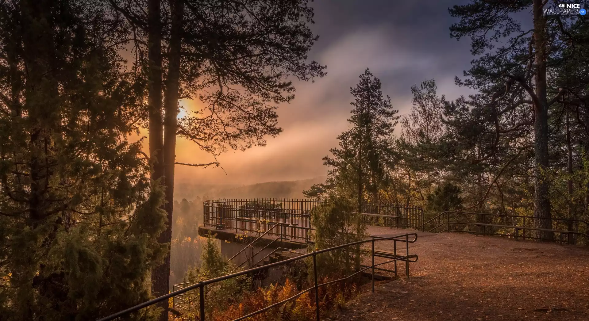 Aulanko Nature Reserve, Finland, autumn, Sunrise, viewes, barriers, Viewpoint, City Hämeenlinna, Häme Province, Fog, trees