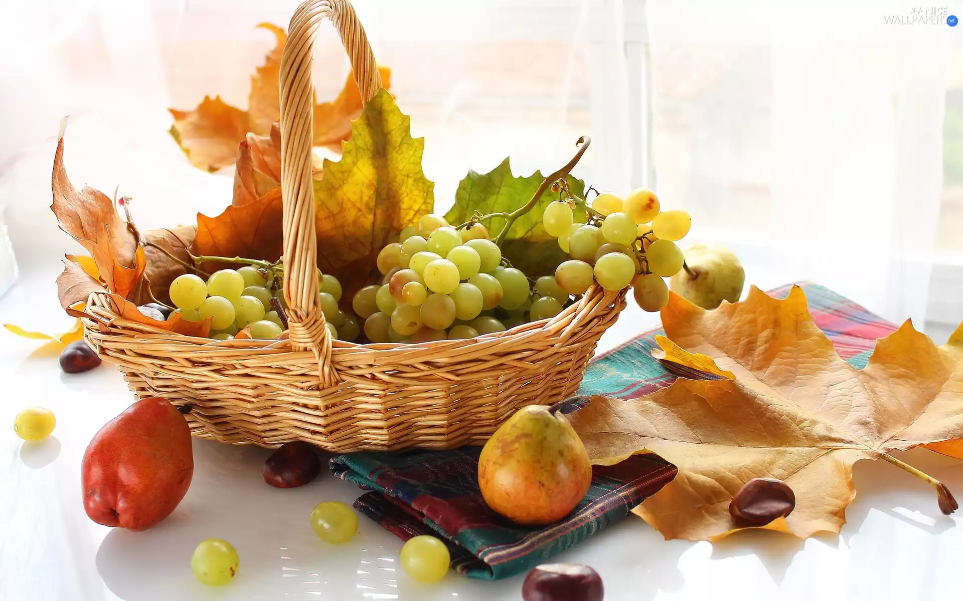 chestnuts, basket, autumn, Leaf, Fruits