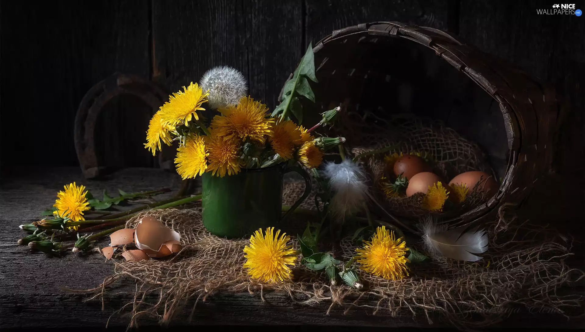 nuns Common, composition, basket, shell, eggs, Flowers