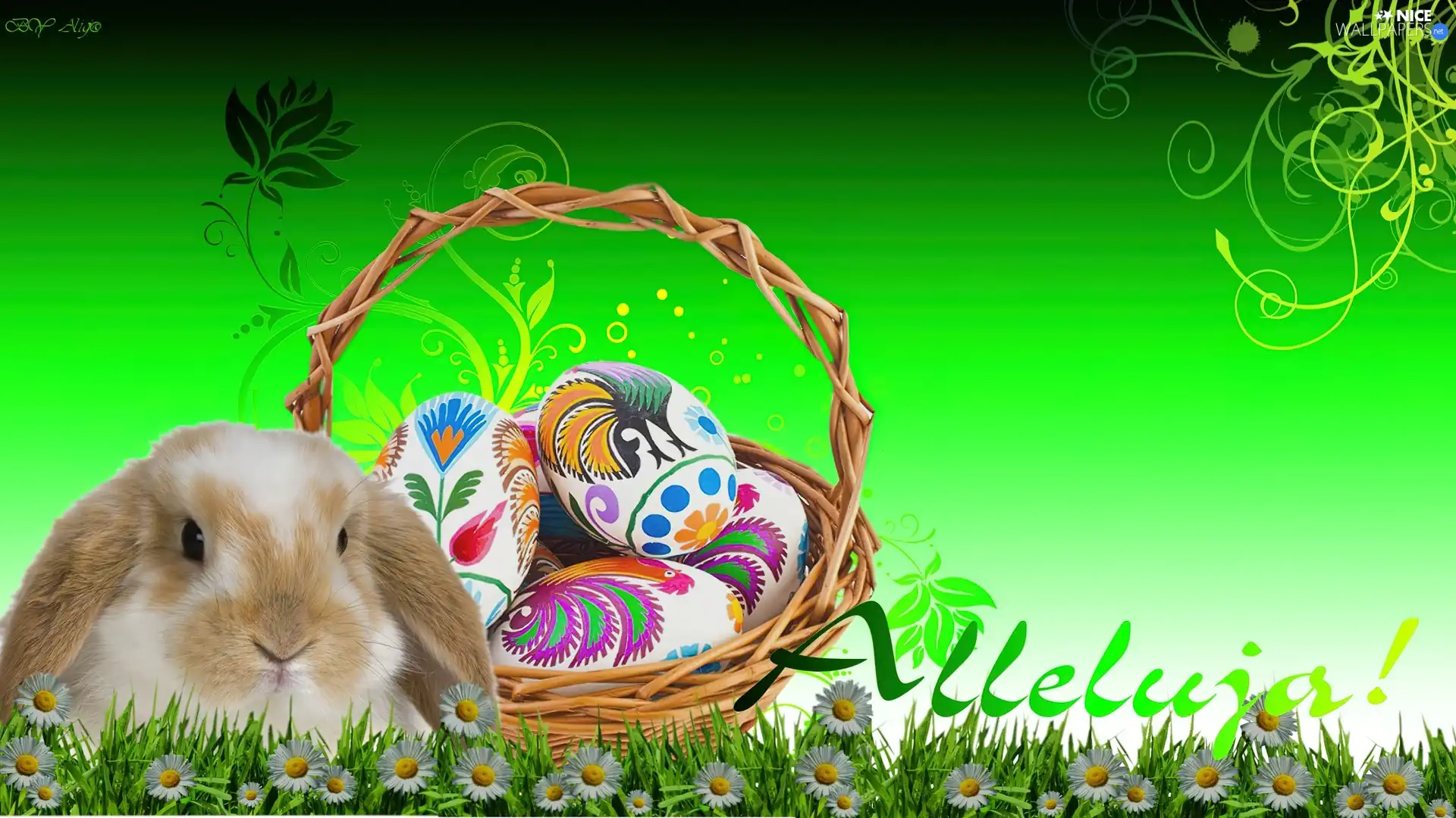 basket, Rabbit, eggs