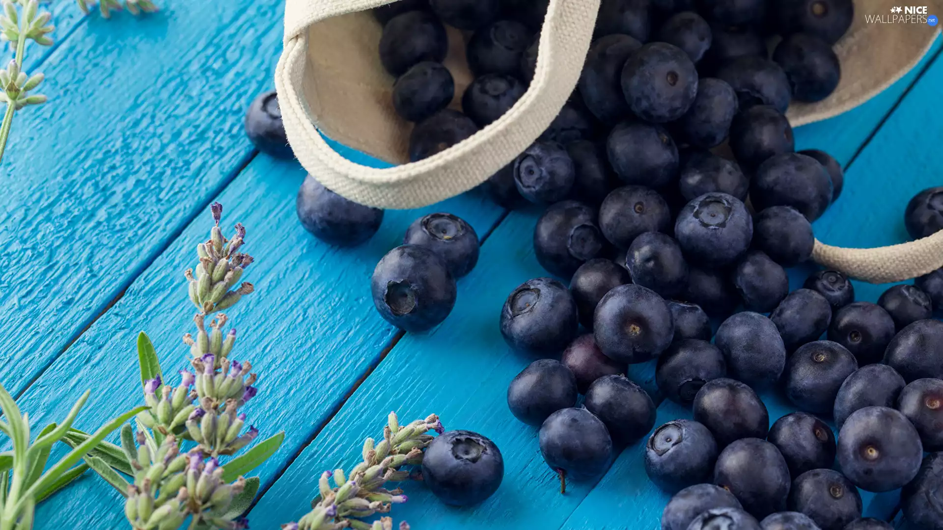Twigs, blueberries, boarding, basket, color, plant