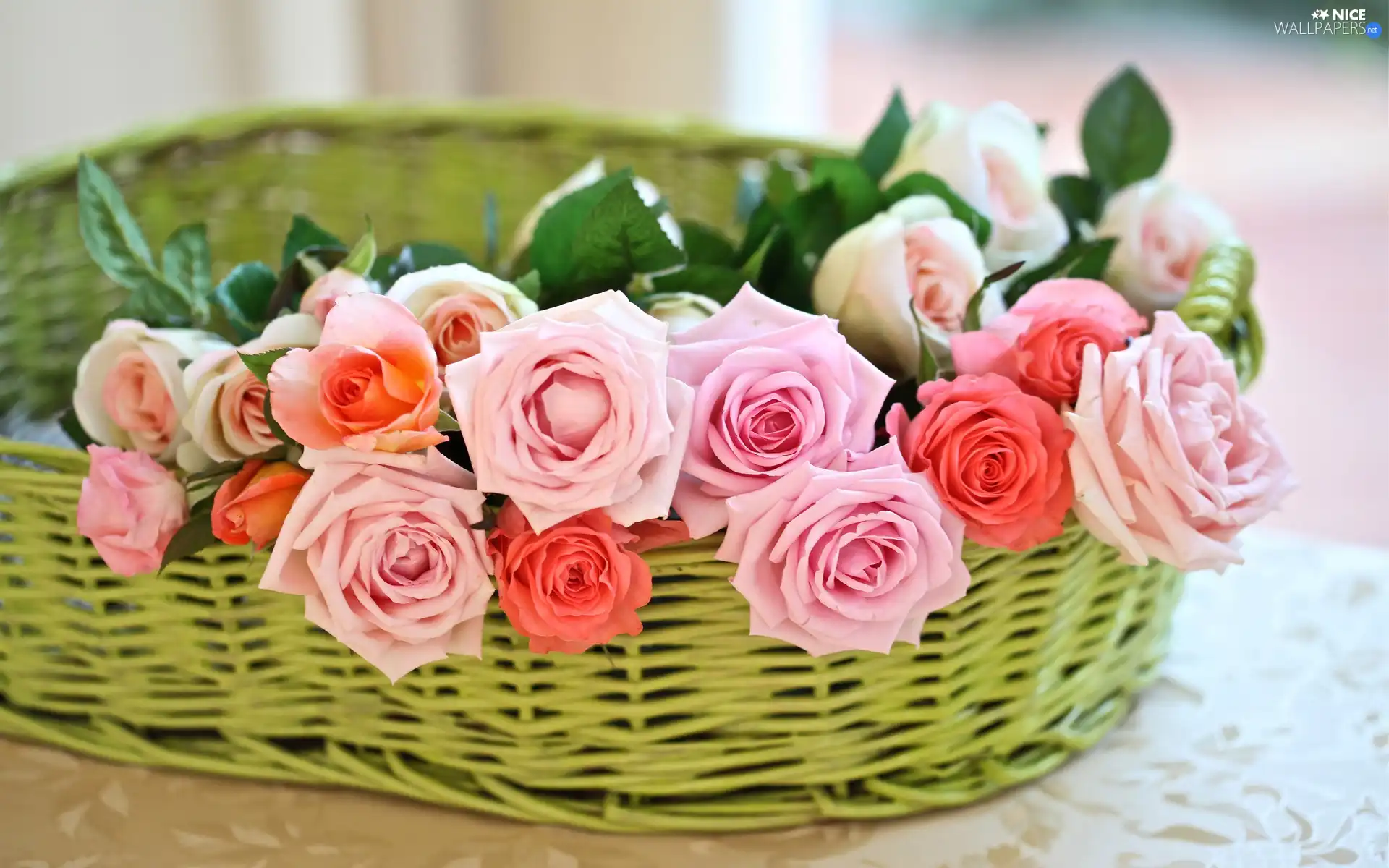 roses, basket