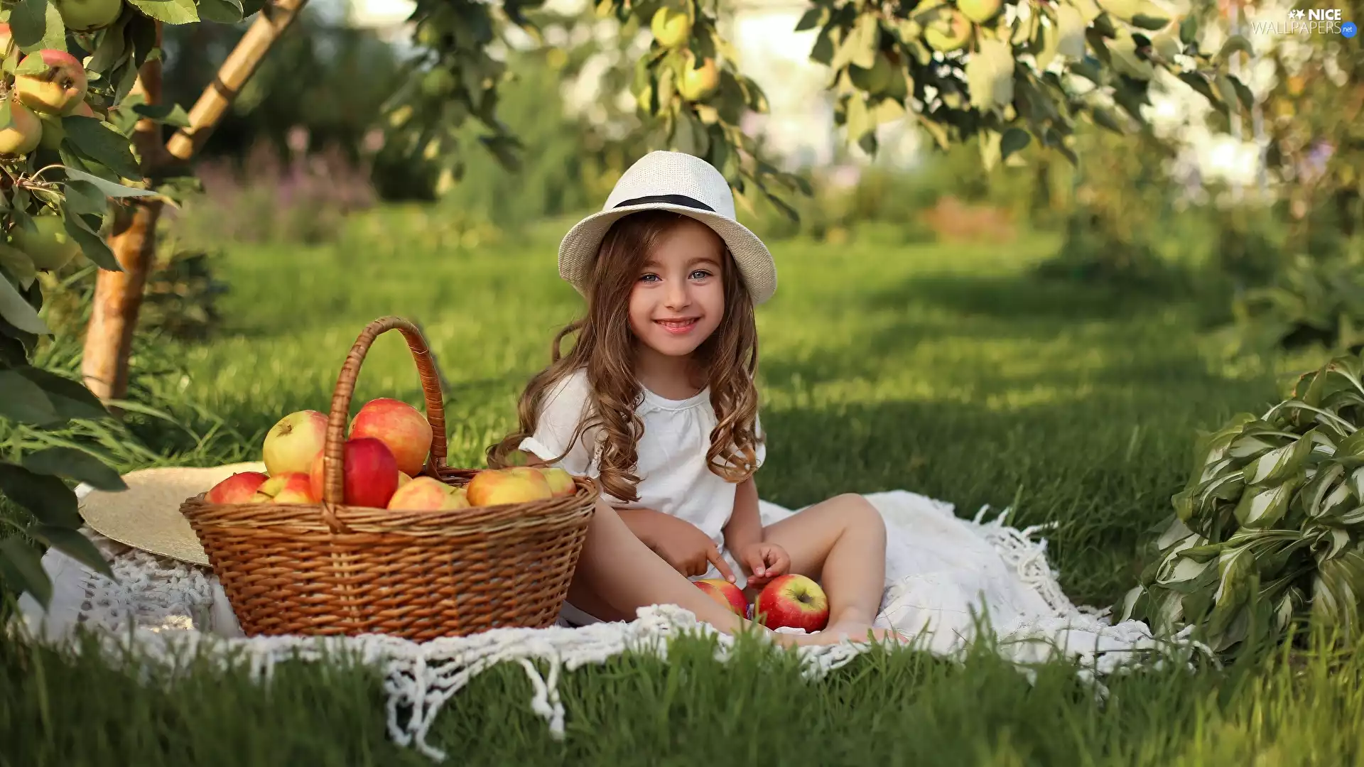 Blanket, girl, apples, basket, Hat, Smile