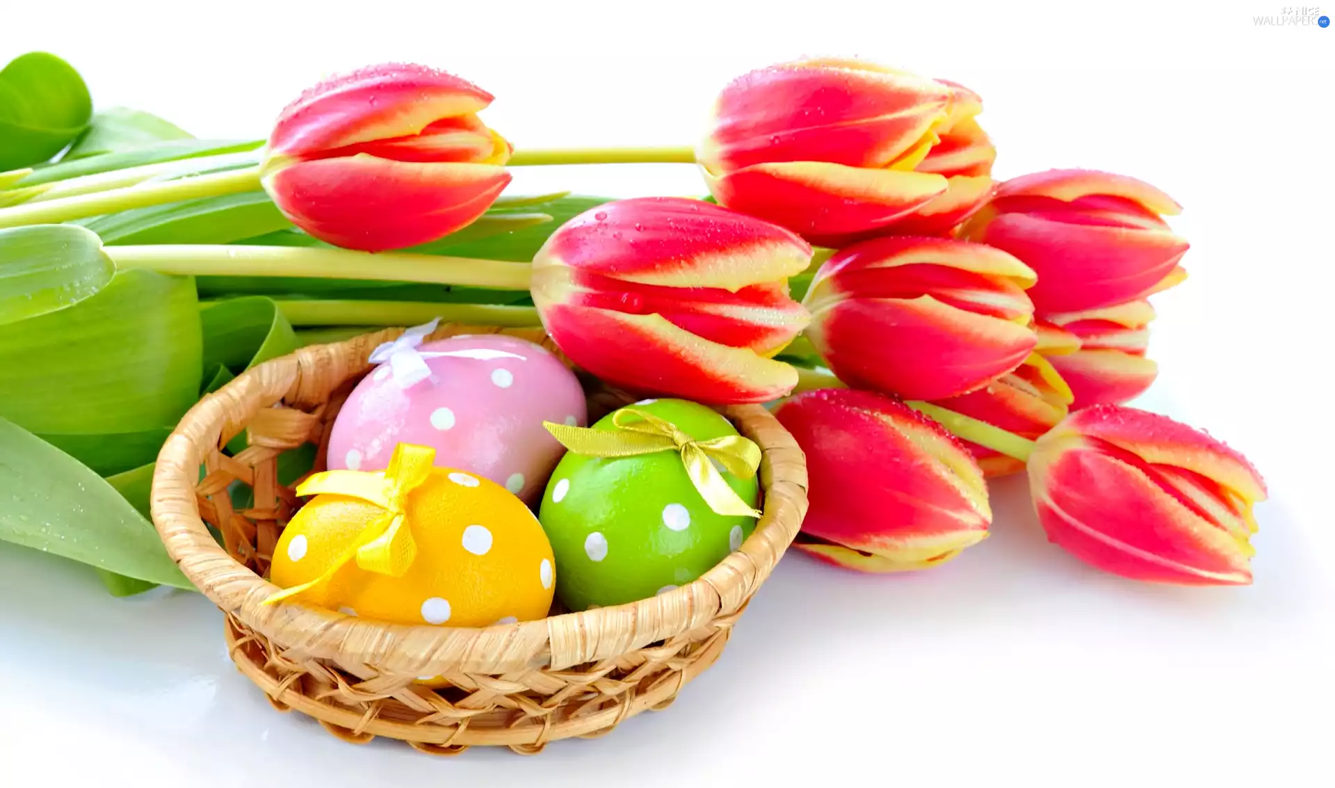 Tulips, easter, eggs, basket