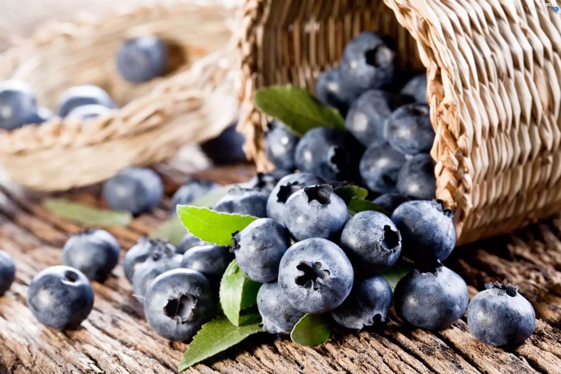 basket, blueberries, wicker