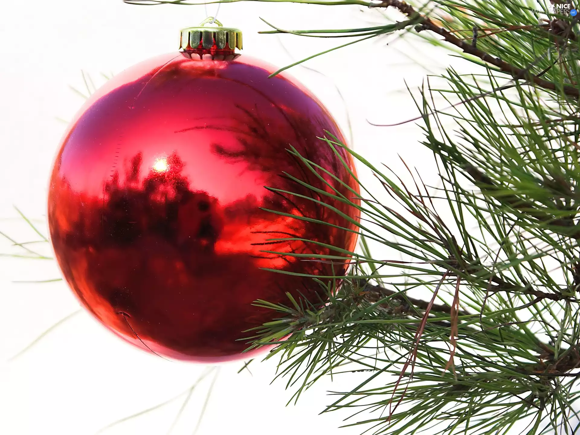 reflection, christmas tree, bauble