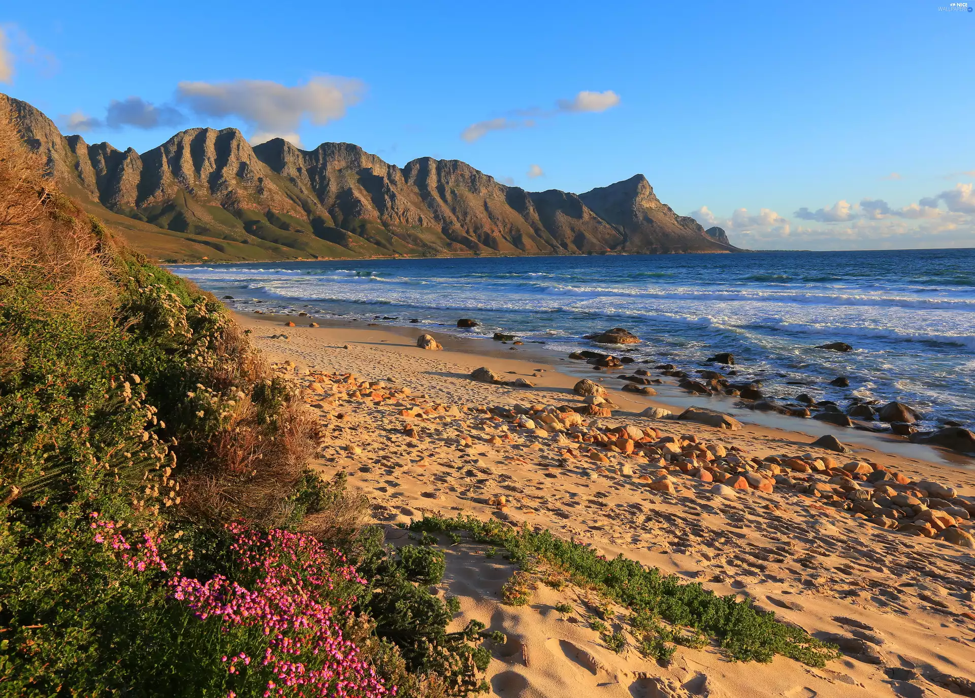 Stones, Mountains, False Bay, Beaches, South Africa