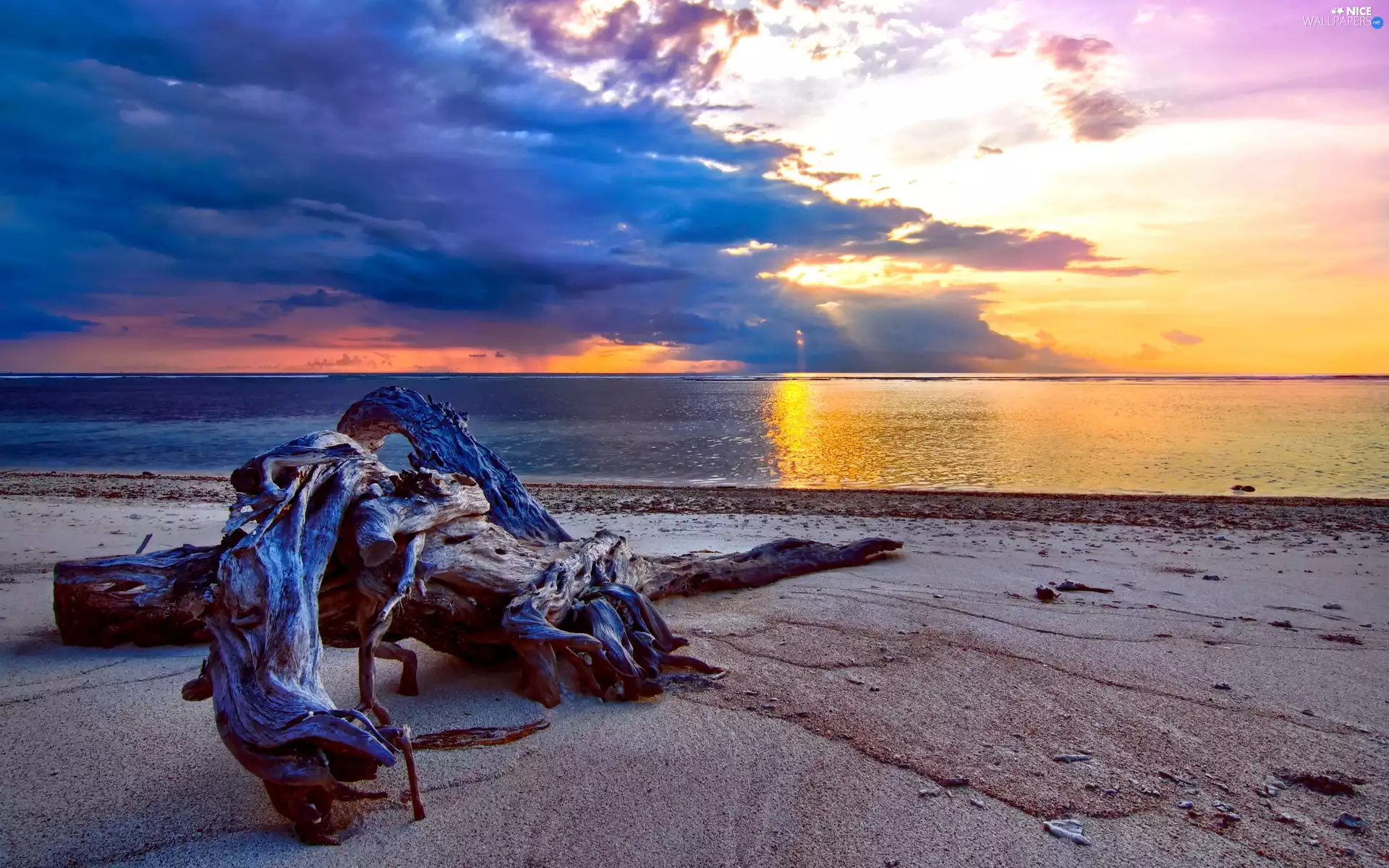 Beaches, Great Sunsets, trees, viewes, Lod on the beach, sea