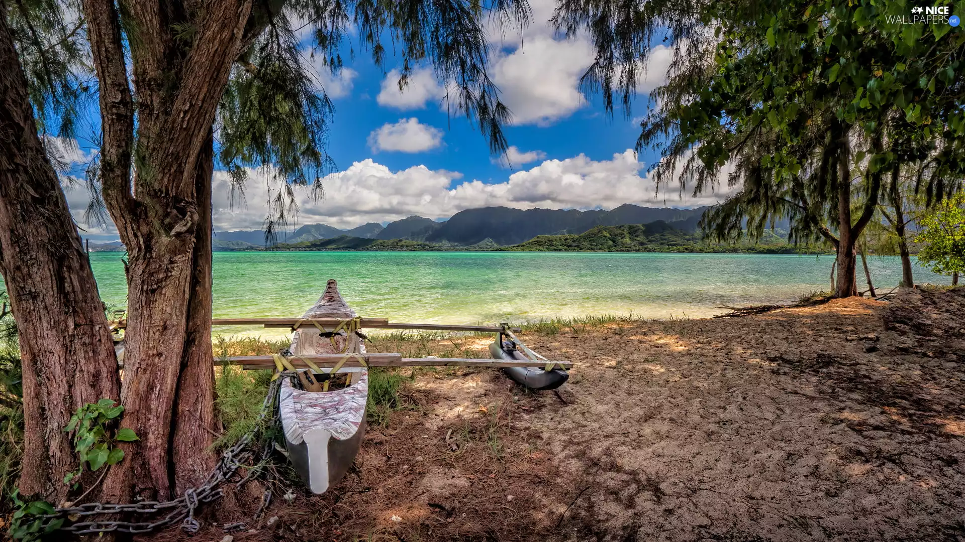 trees, Mountains, Boat, Beaches, sea, viewes, Canoe