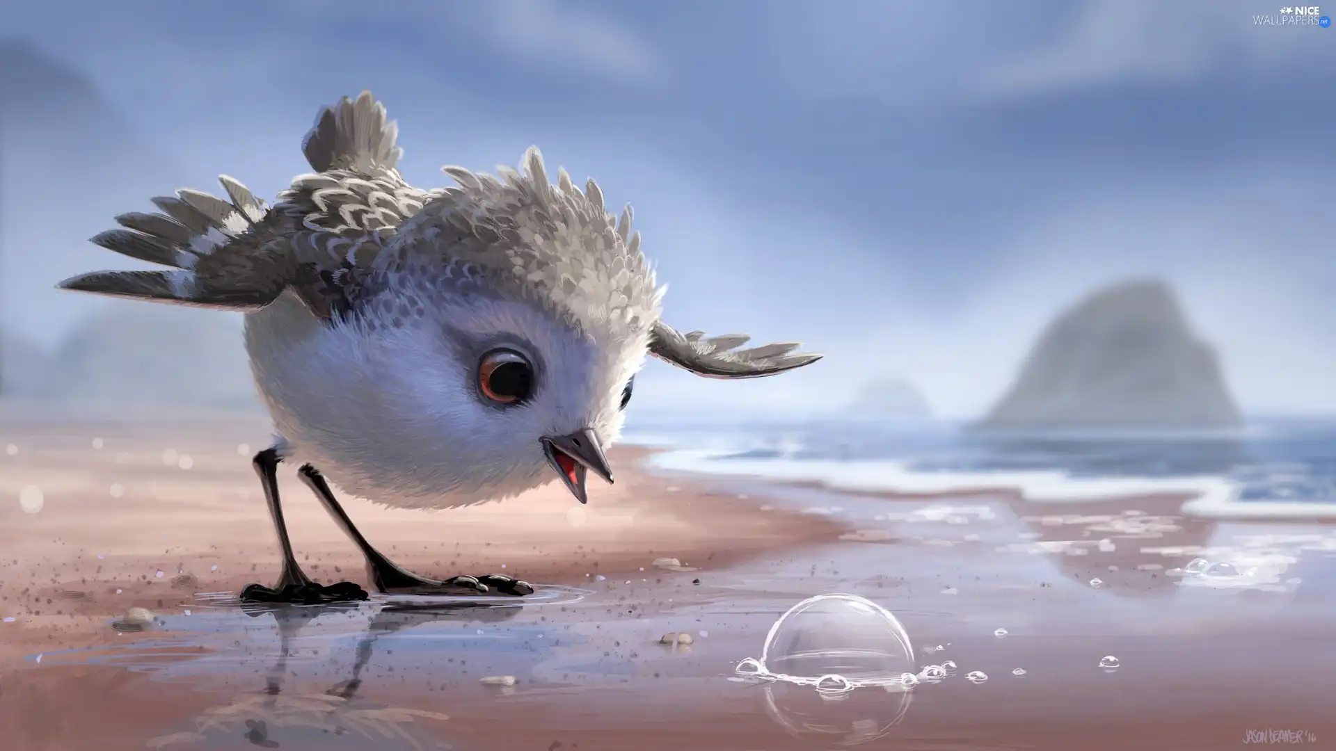 2D Graphics, Bird, Beaches