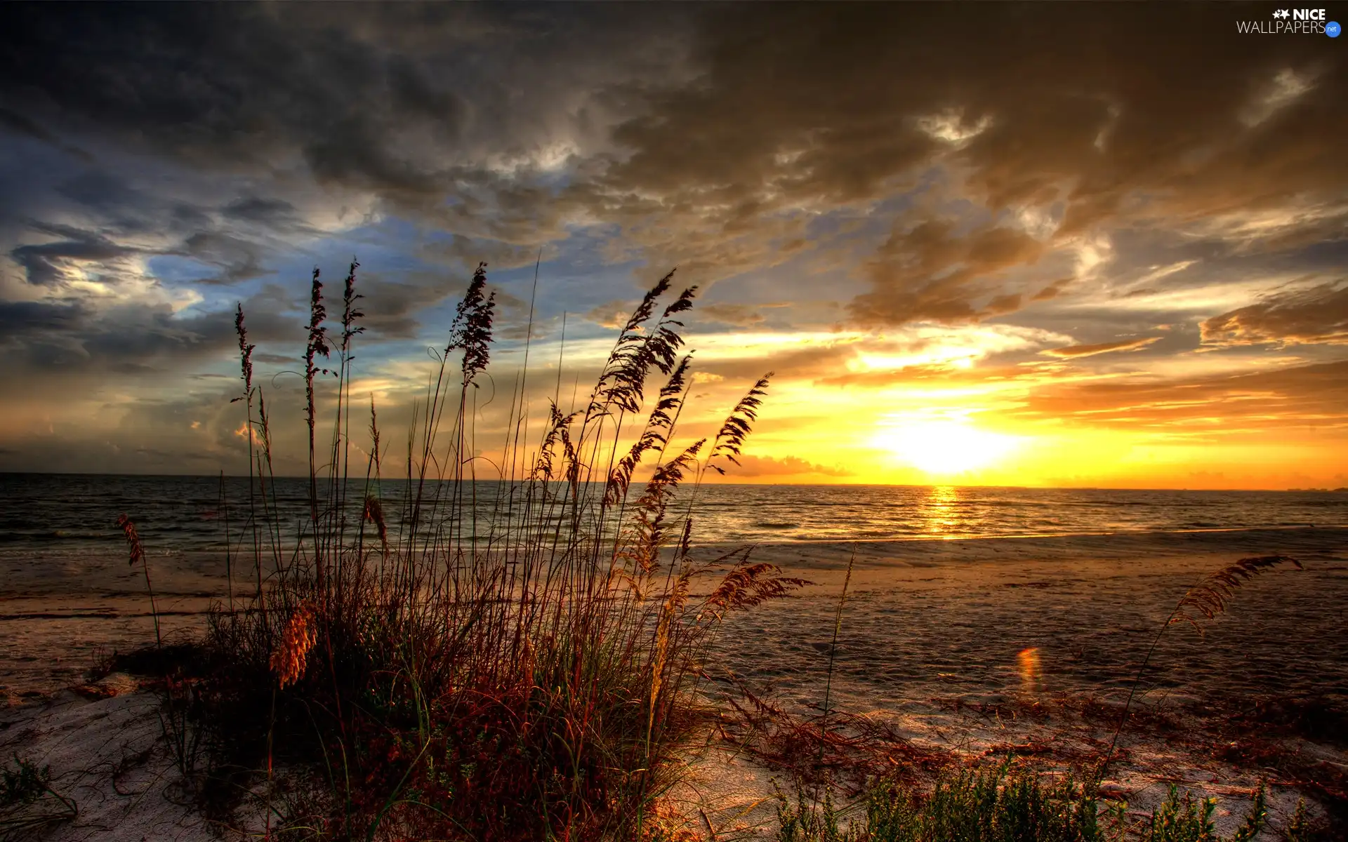 Beaches, grass, sun, sea, west