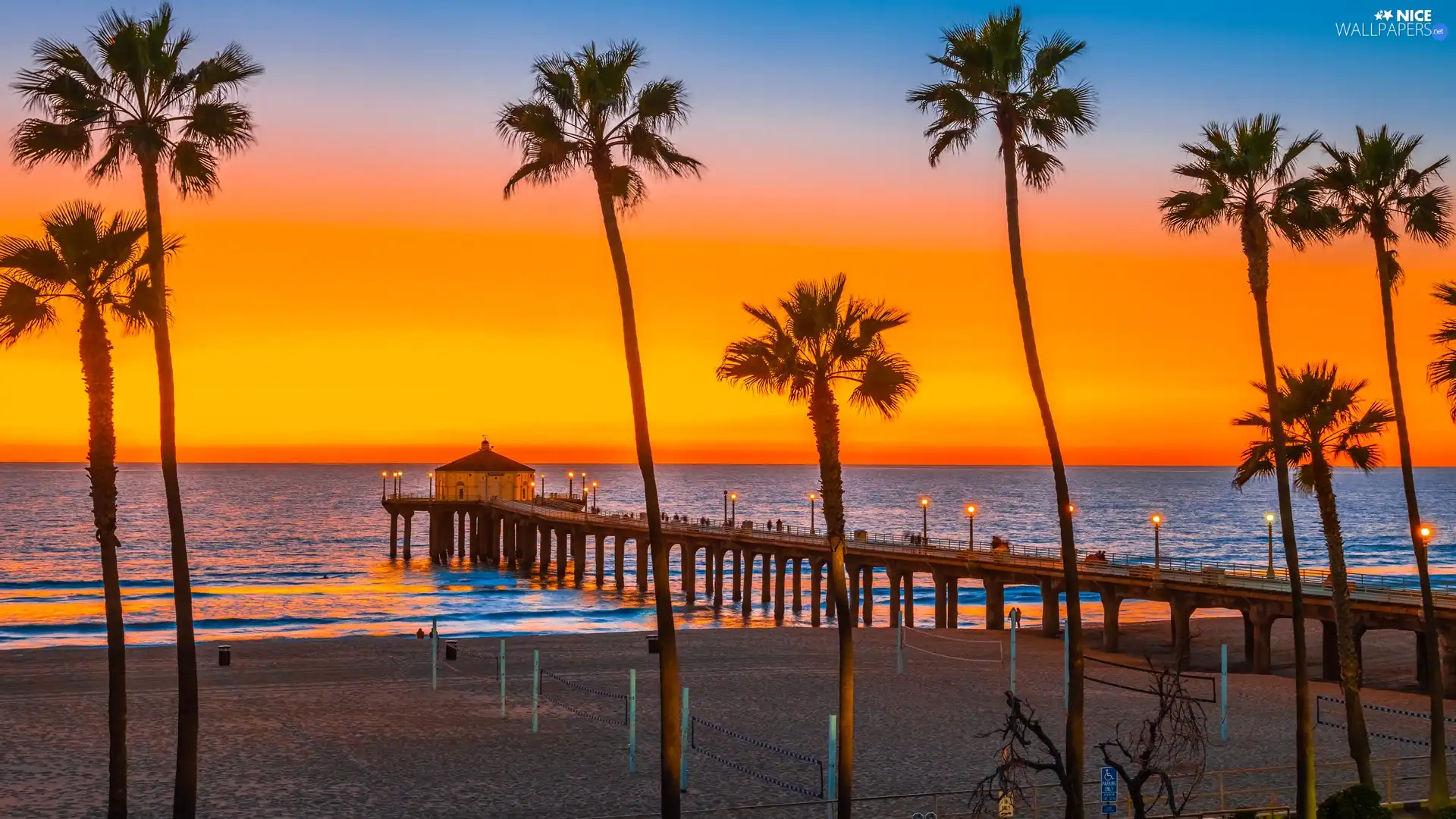 Palms, Great Sunsets, Beaches, pier, sea