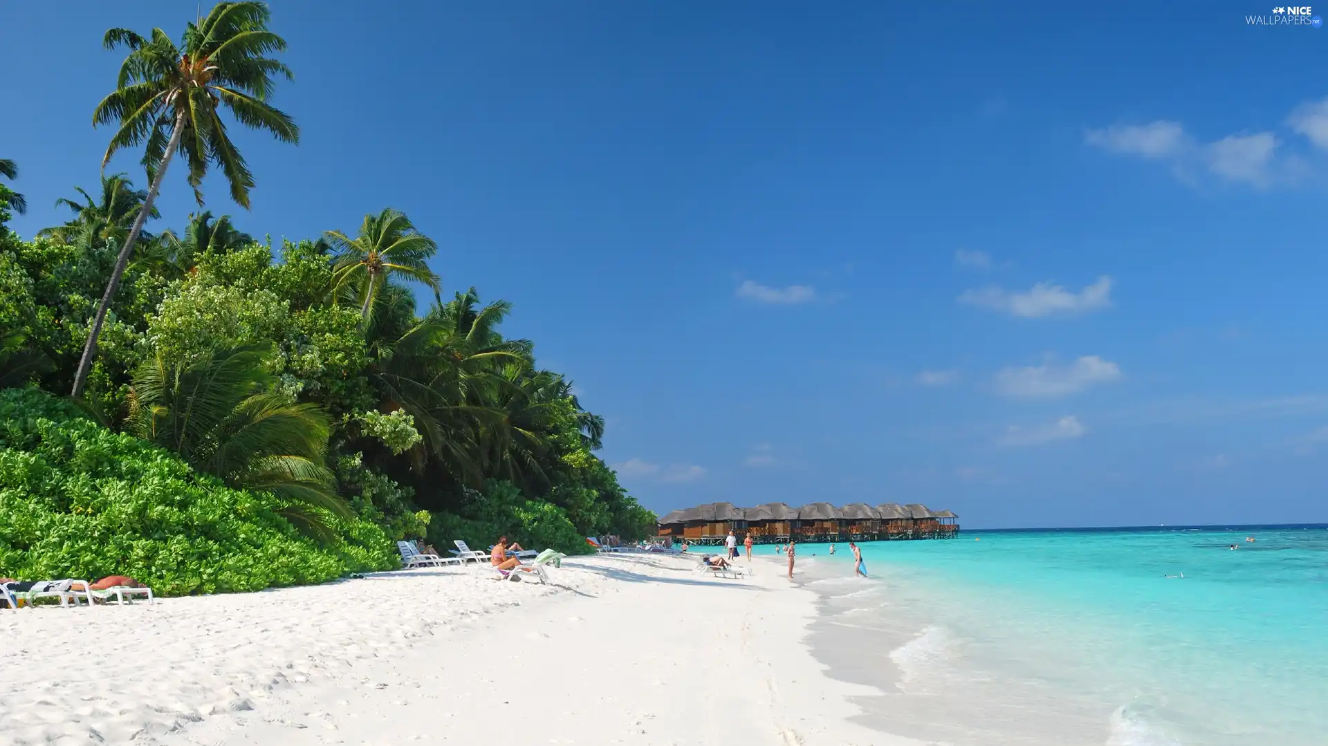 Beaches, Sky, fihalhohi, Palms, Maldives