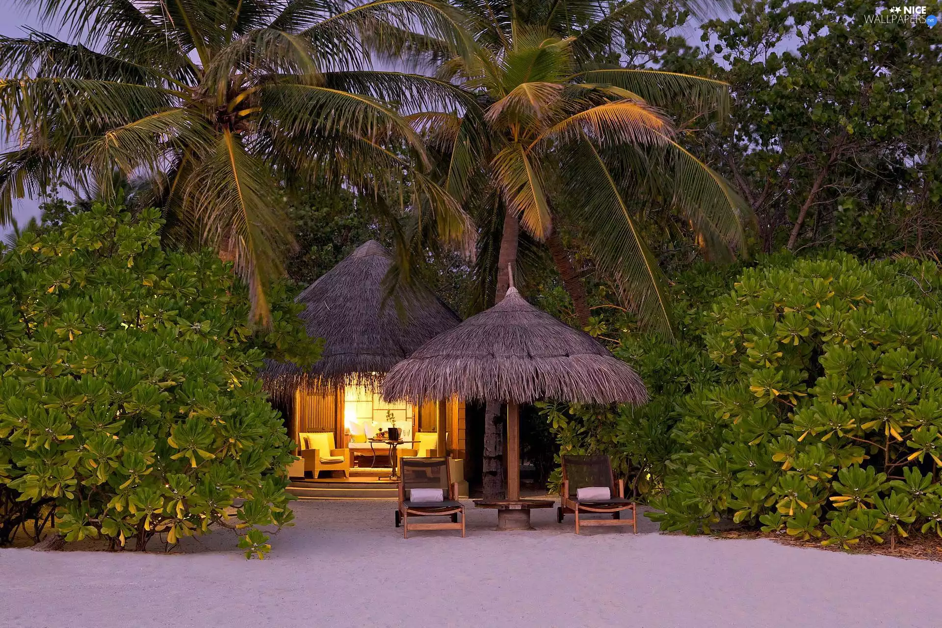 arbour, Palms, Umbrella, Beaches, deck chair, Bush