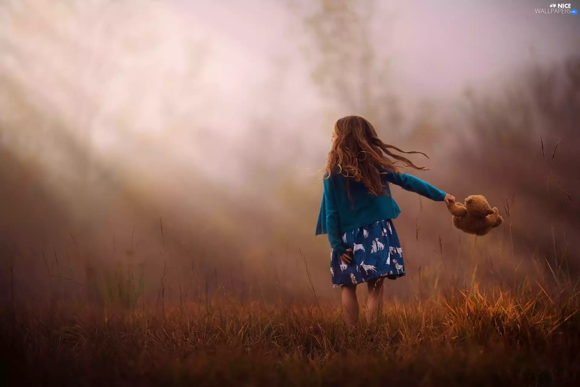grass, girl, teddy bear