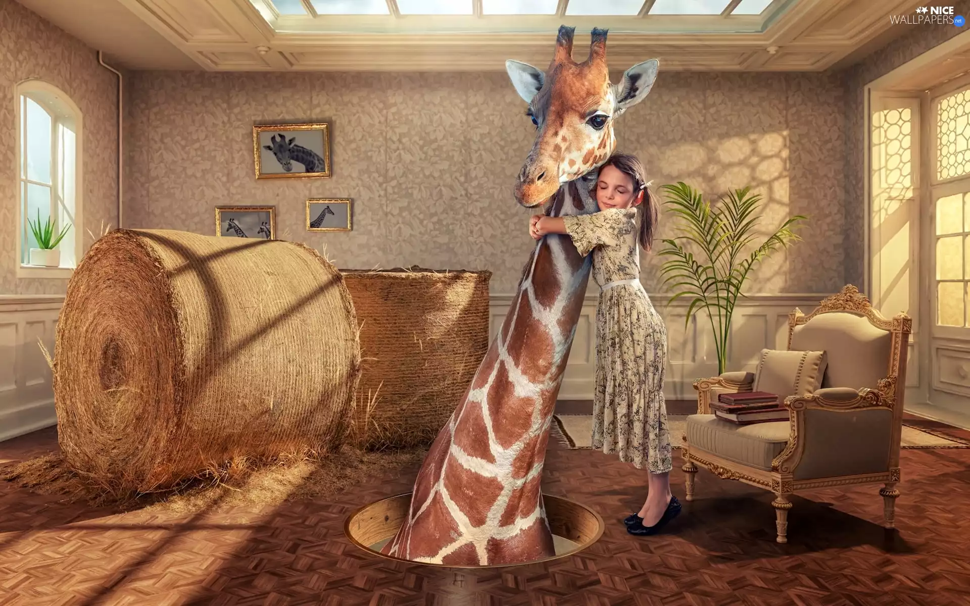 interior, girl, Armchair, giraffe, straw, Room, Funny, Bele