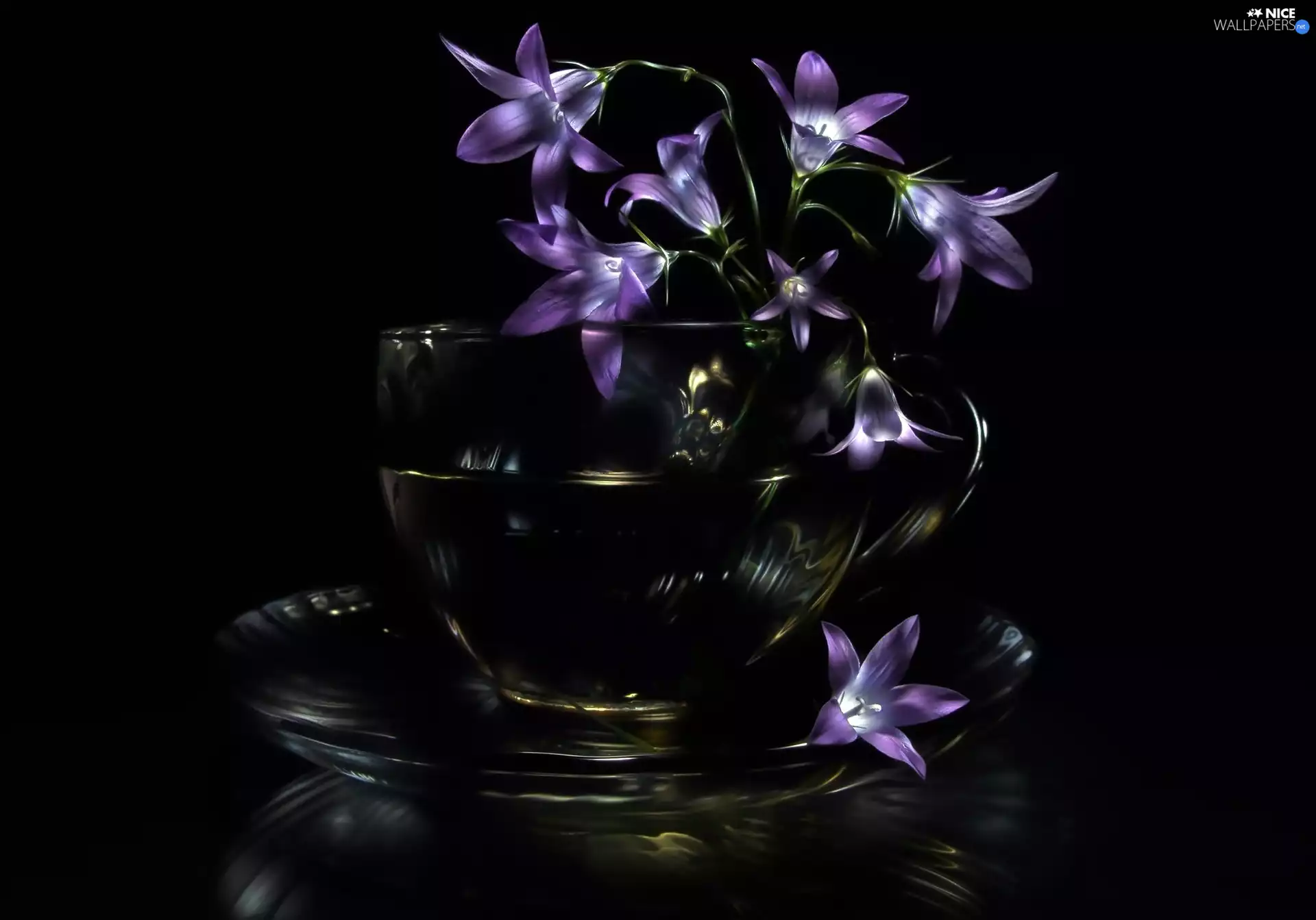 Flowers, cup, reflection, bells