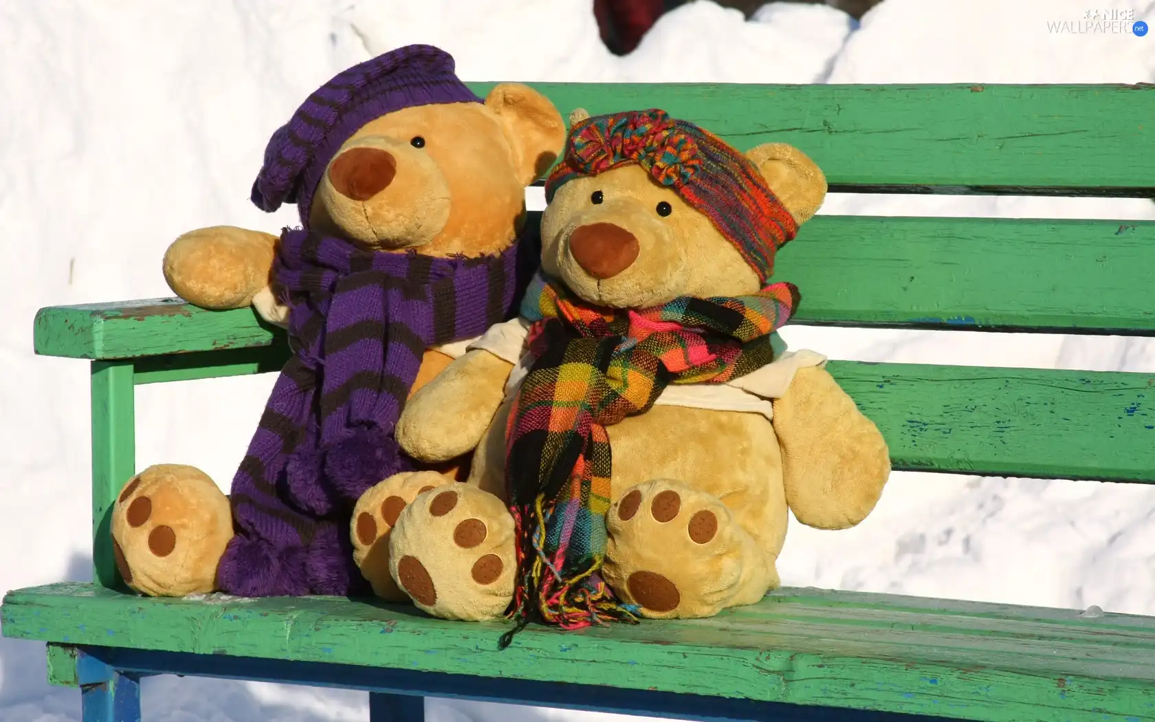 Bench, plush, bear