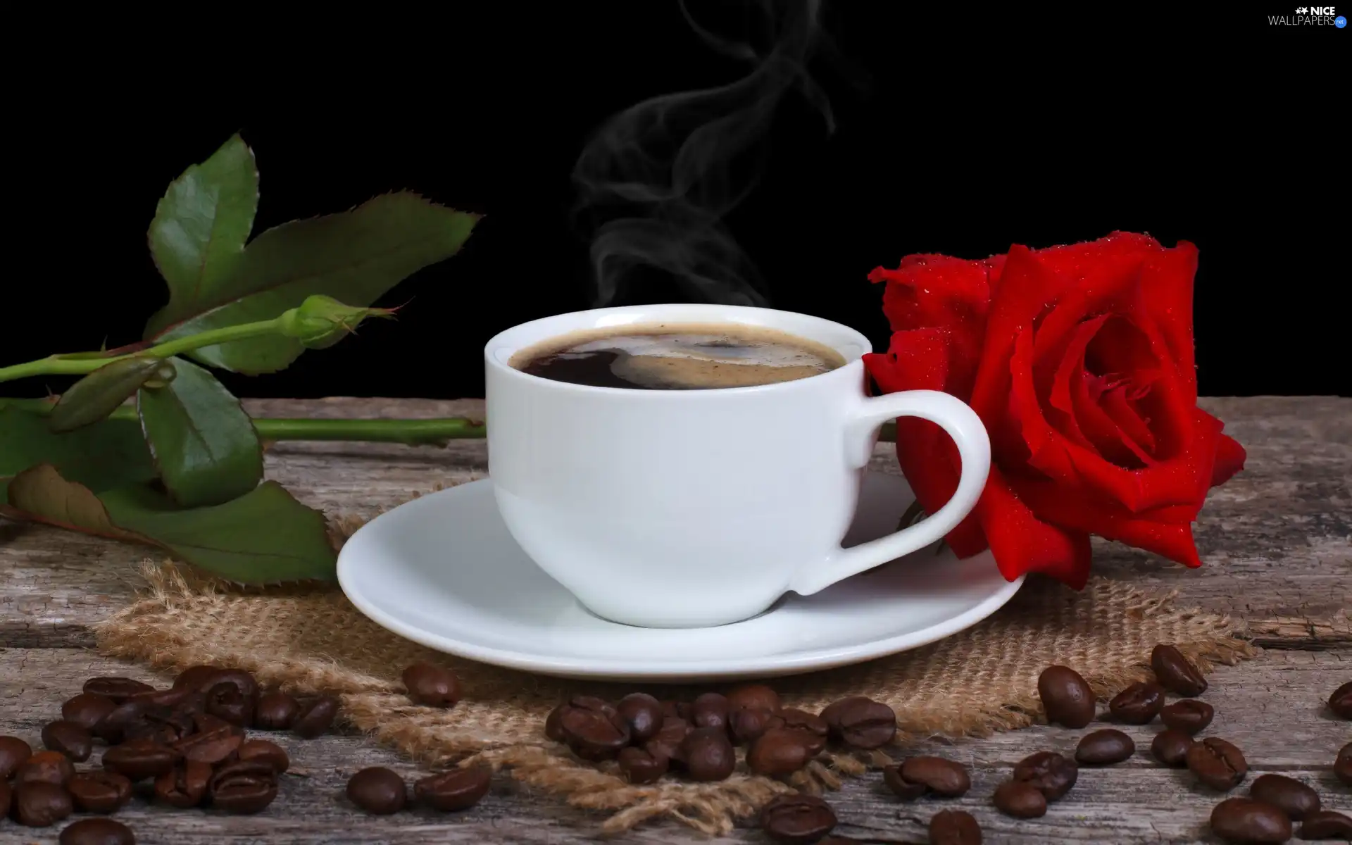 coffee, rose, Bench, composition, grains, cup