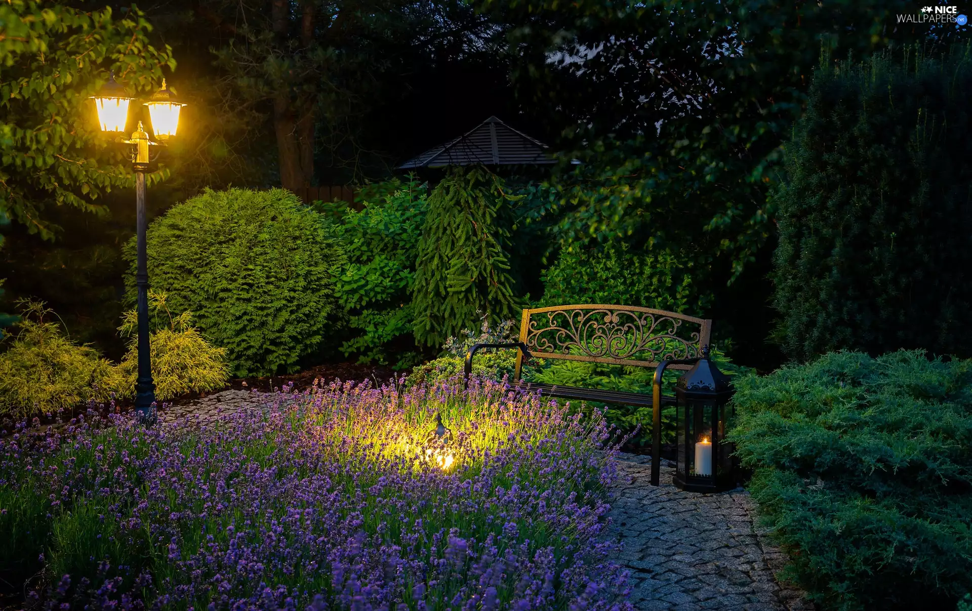 Garden, Lamp, Dusk, Bench