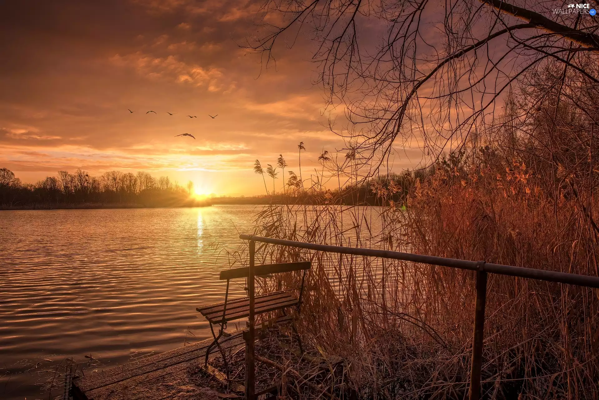 lake, Bench, grass, Great Sunsets