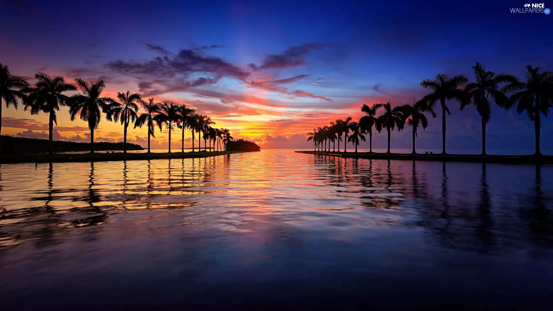 sea, bench, Great Sunsets, Palms