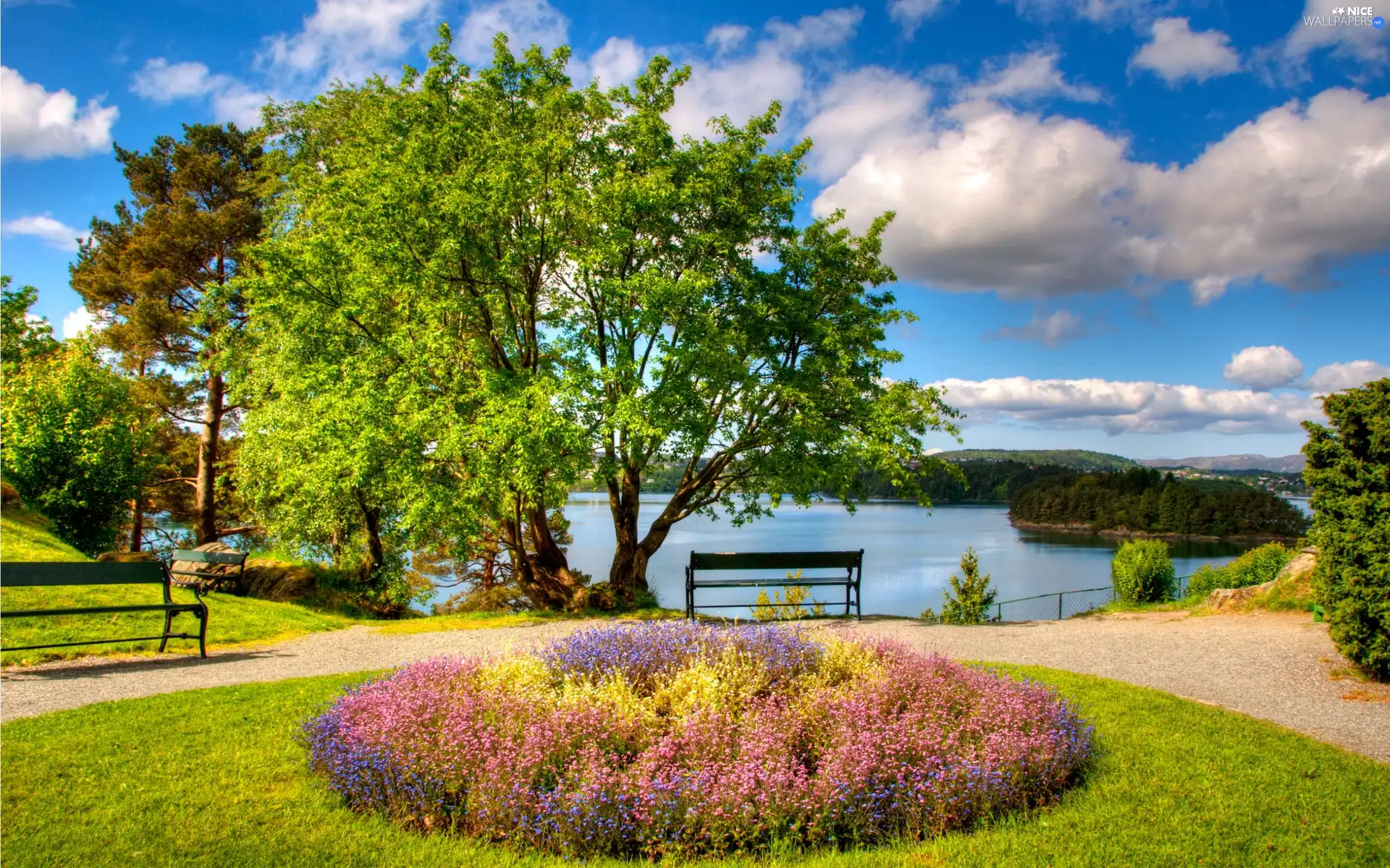 bench, Mountains, flowerbed, Flowers, lake