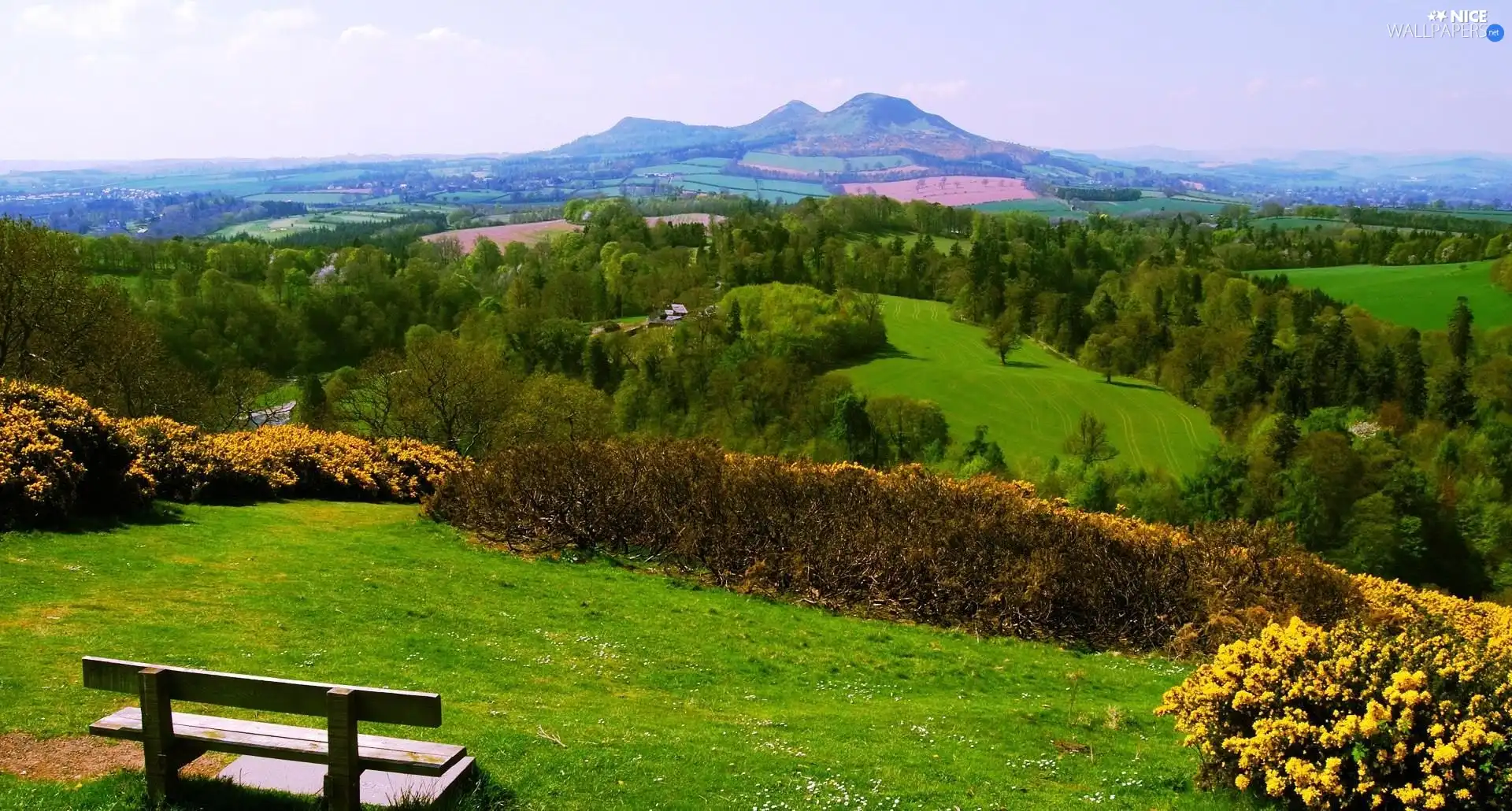 Mountains, medows, Bench, woods