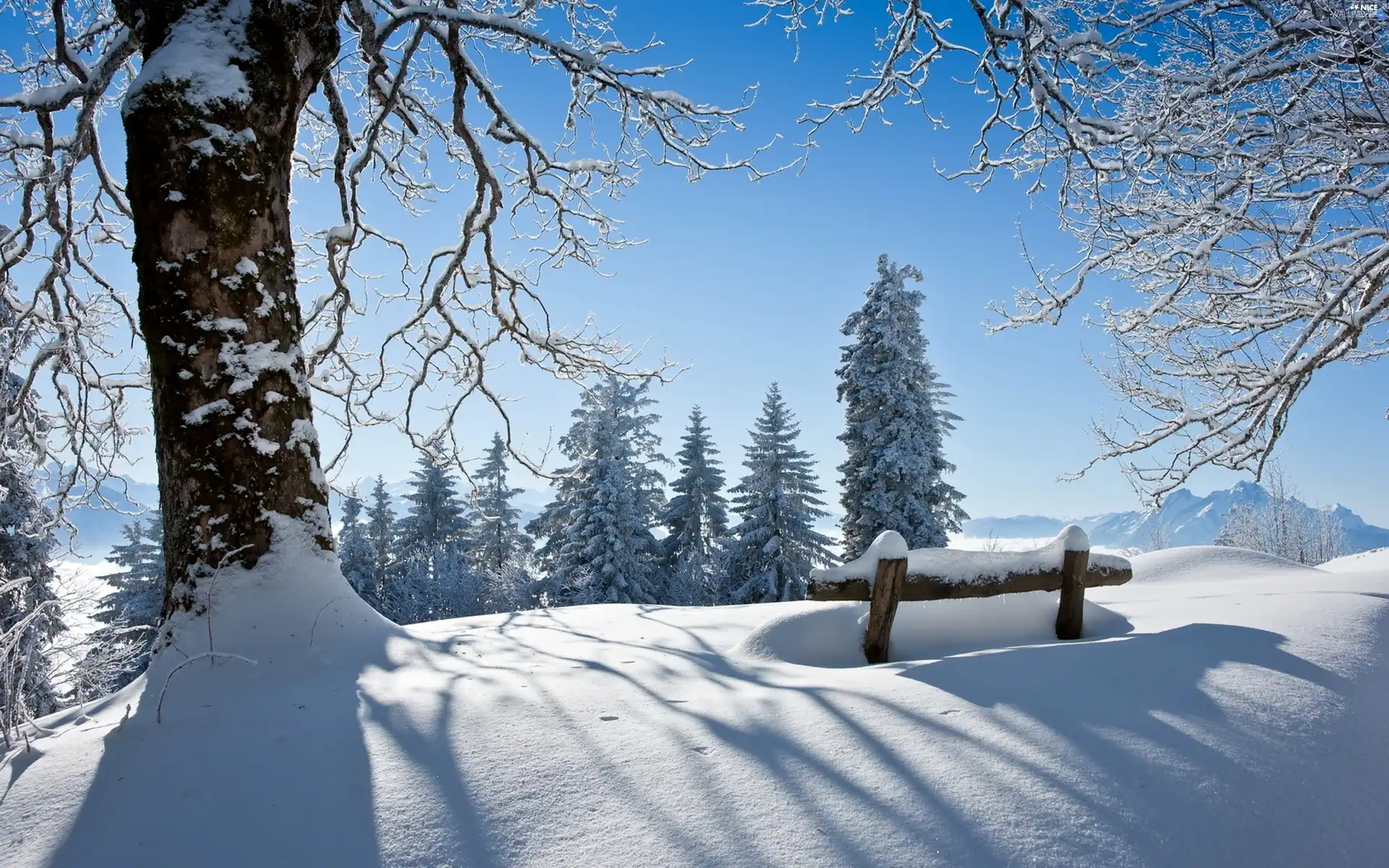 Sky, A snow-covered, Bench, trees