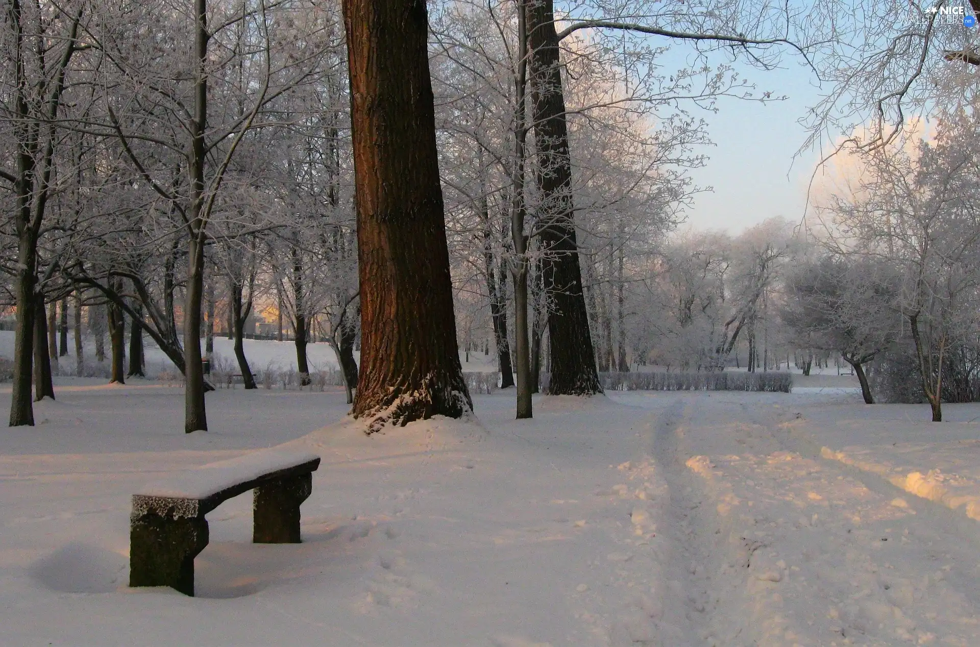 trees, winter, Bench, snow, viewes, Park