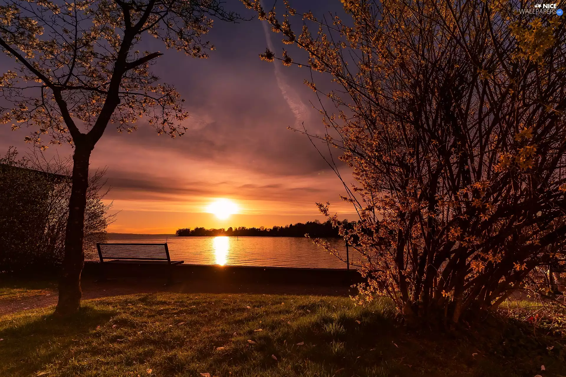 trees, viewes, lake, Bench, Great Sunsets