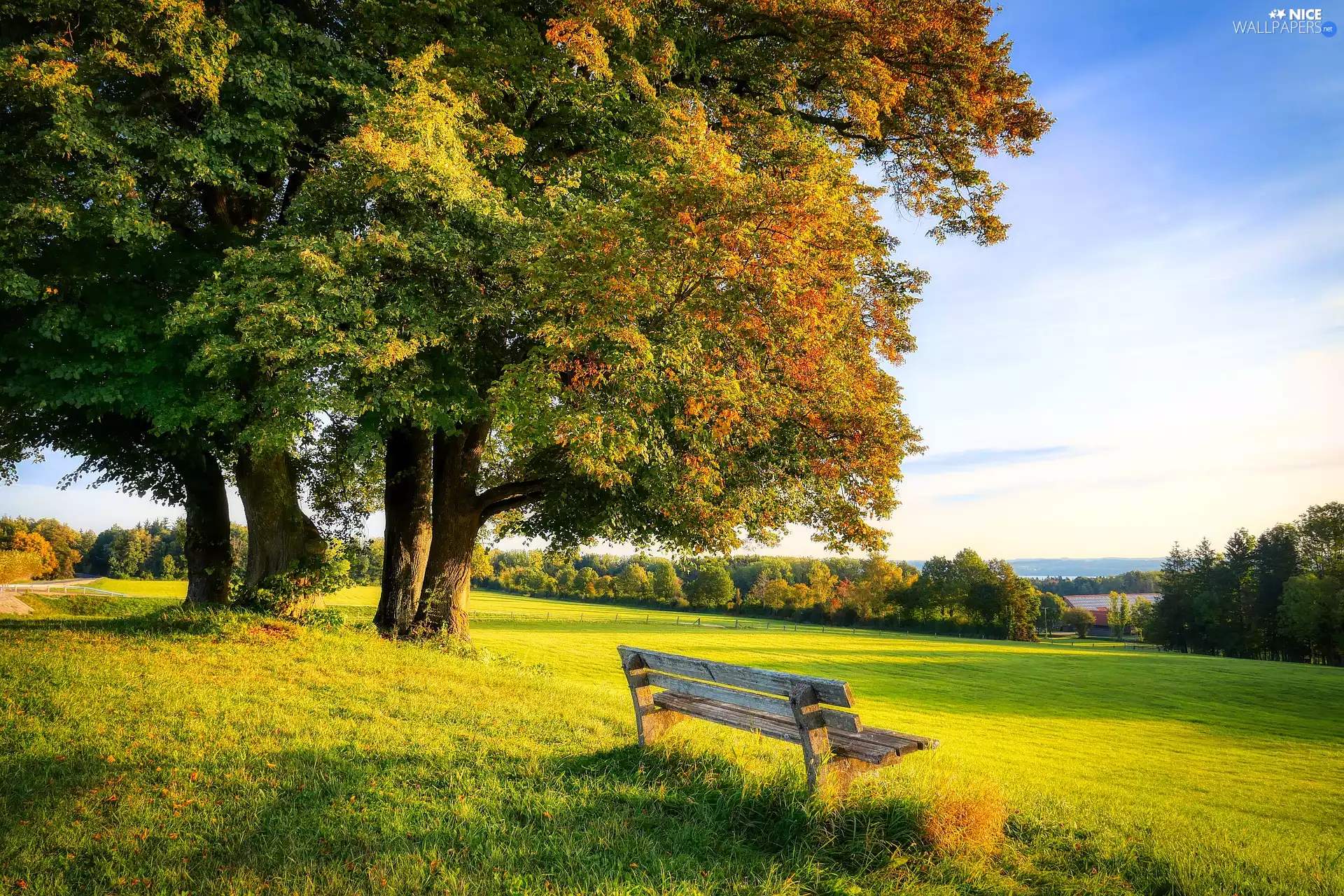 Field, Bench, trees, viewes, autumn