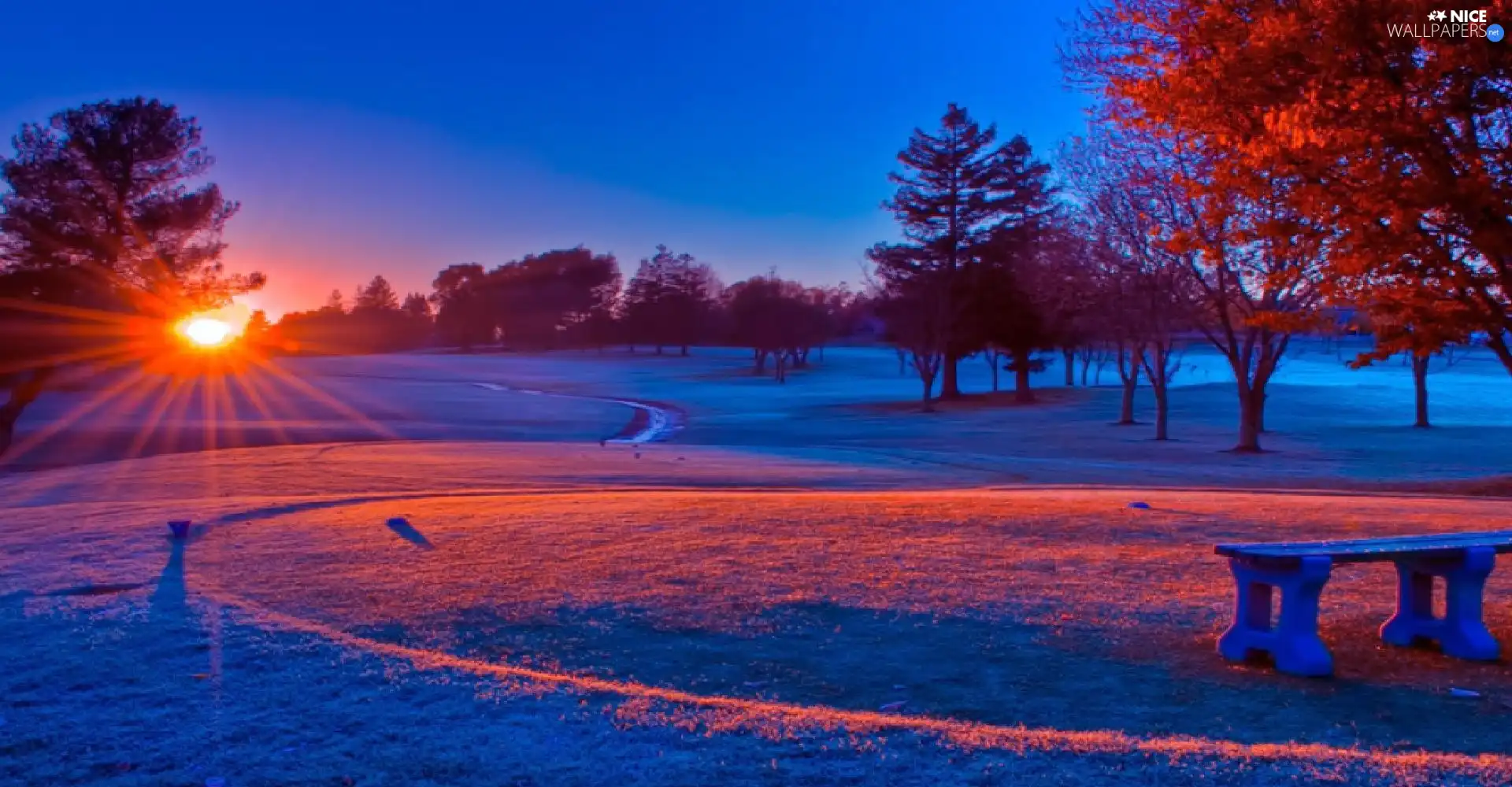 Bench, winter, viewes, Great Sunsets, trees, Park