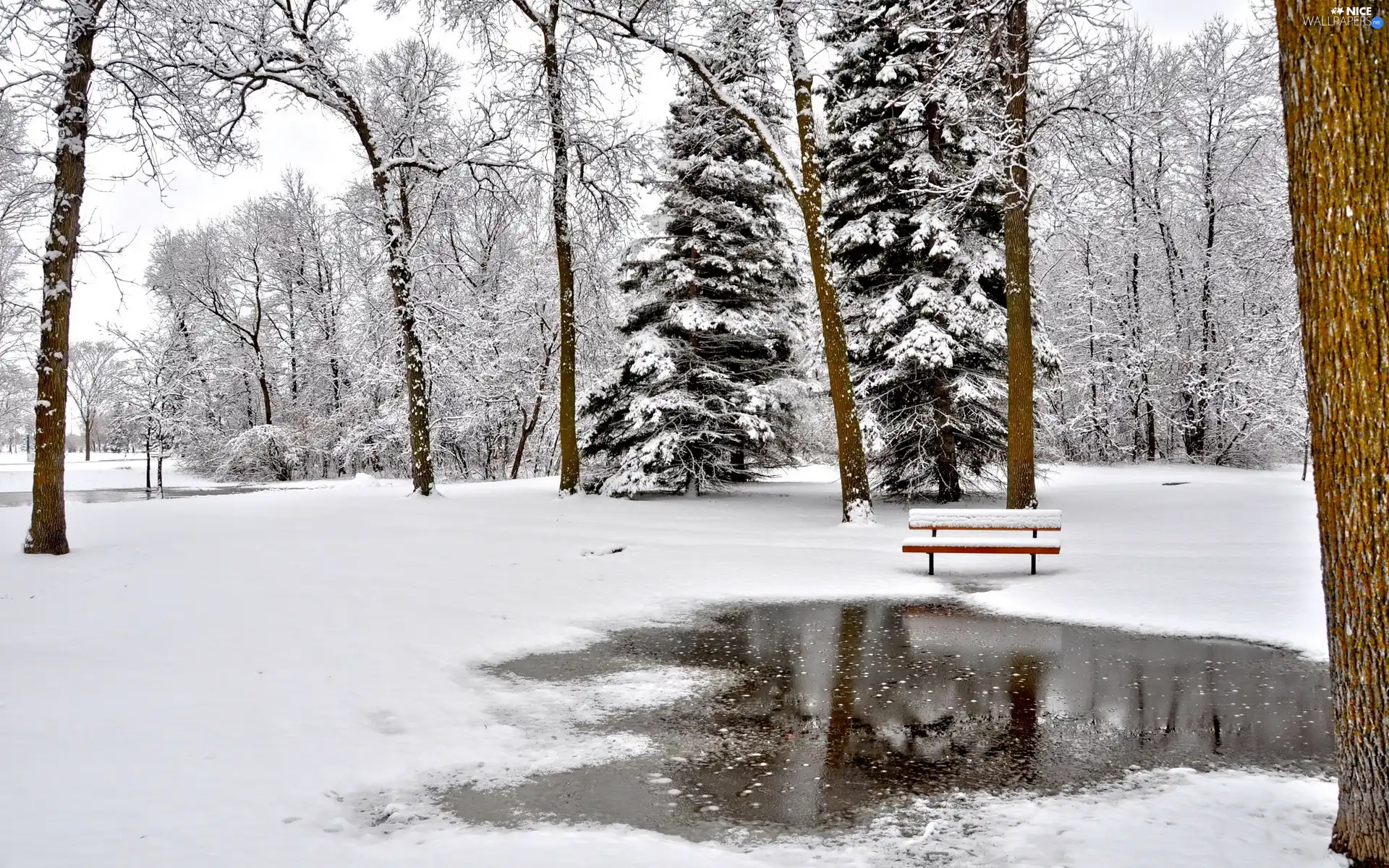 Bench, winter, trees, viewes, Park