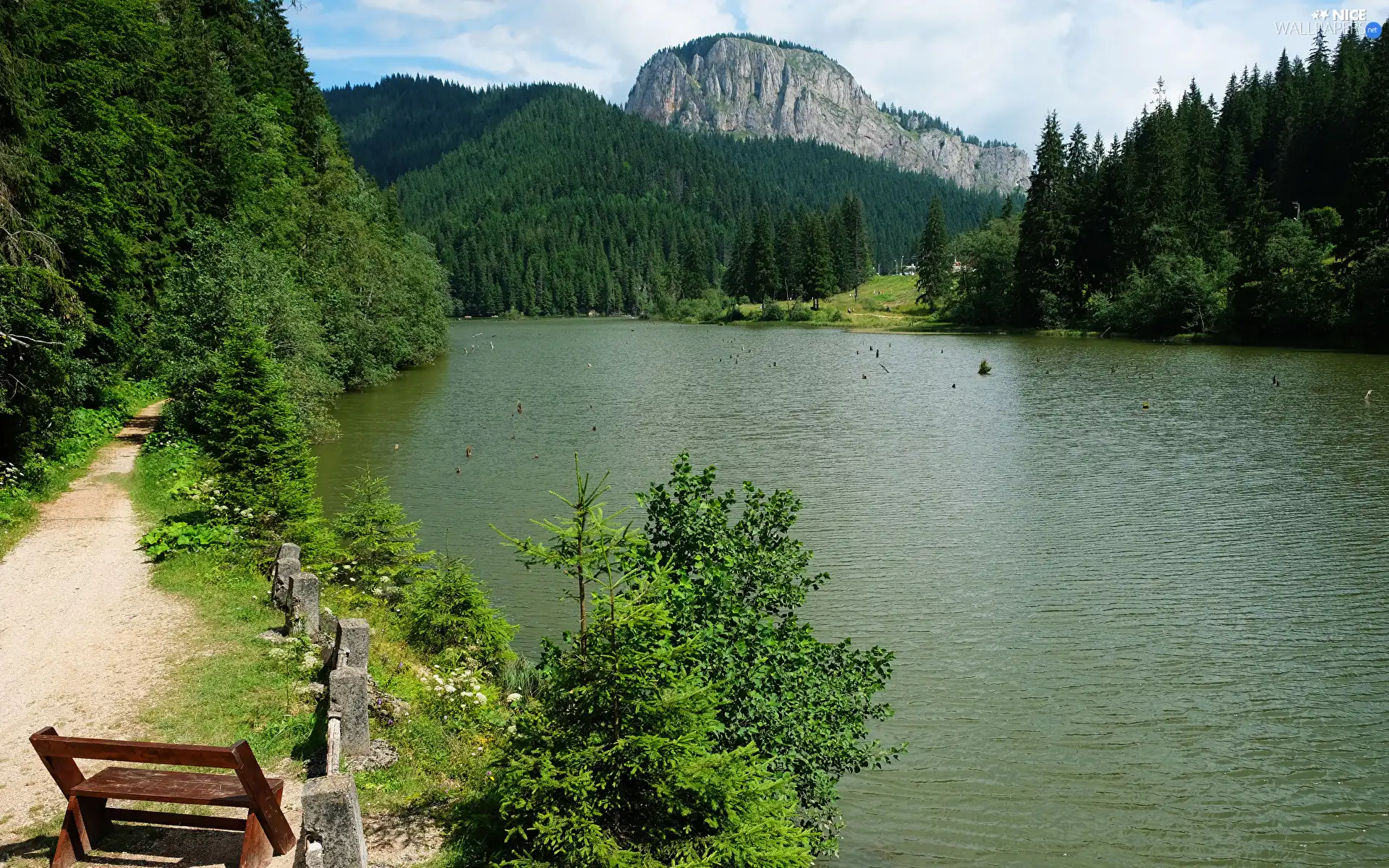 trees, Mountains, lake, Bench, viewes, woods