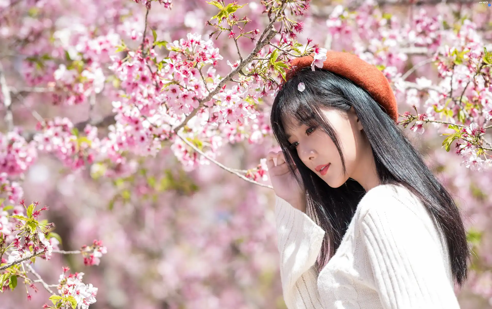 flourishing, Asian, viewes, beret, Women, trees, blur