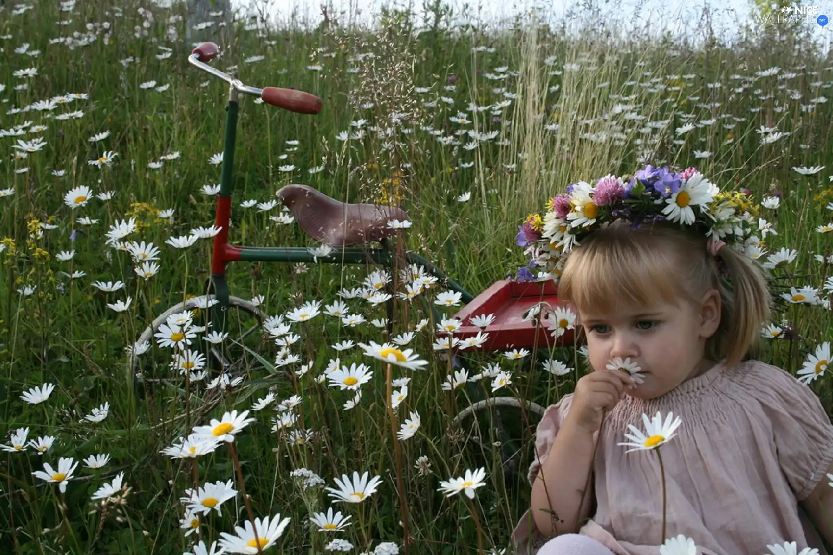 girl, Flowers, Bicycle, wreath