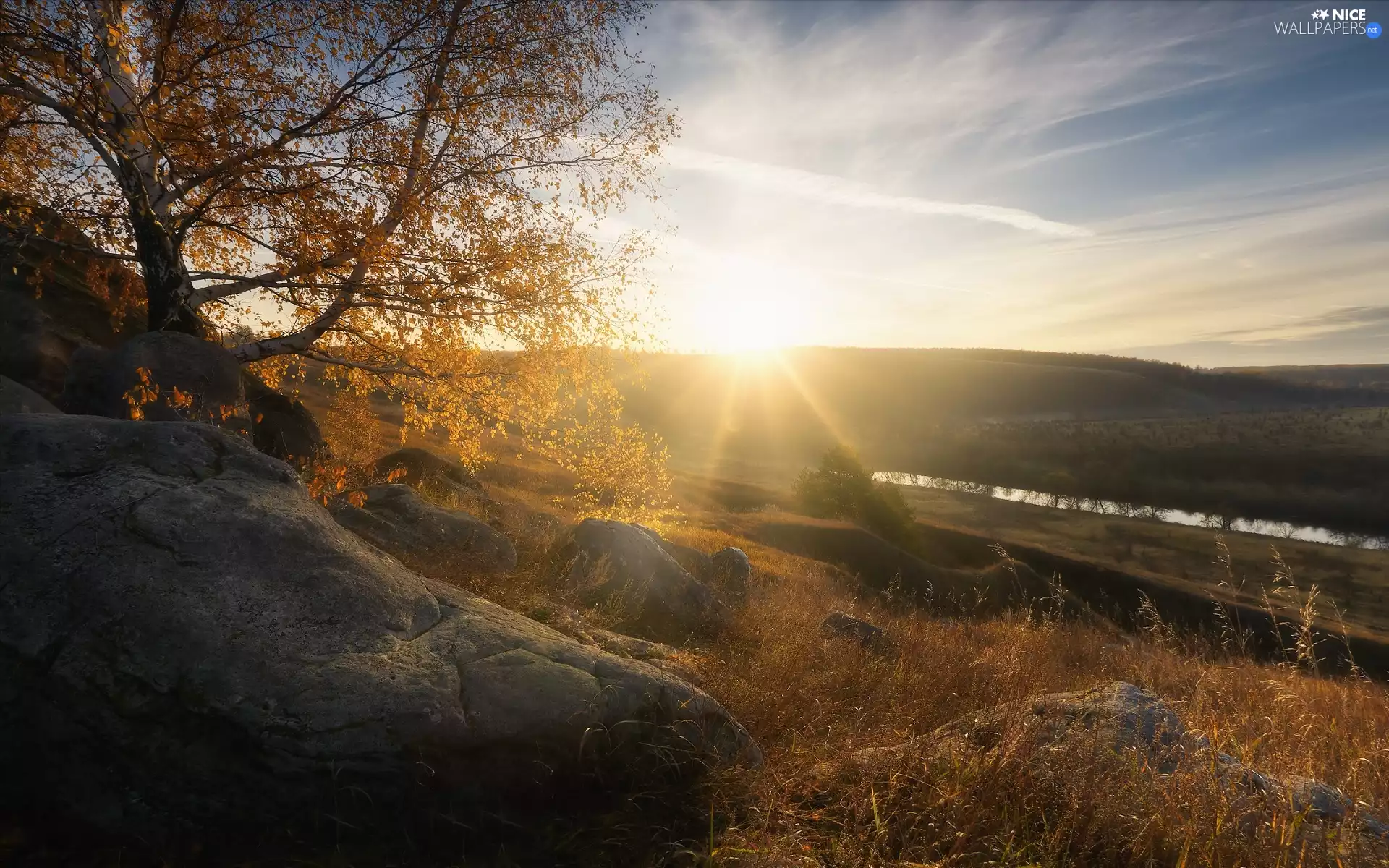 trees, rays of the Sun, Stones, The Hills, autumn, birch-tree, River