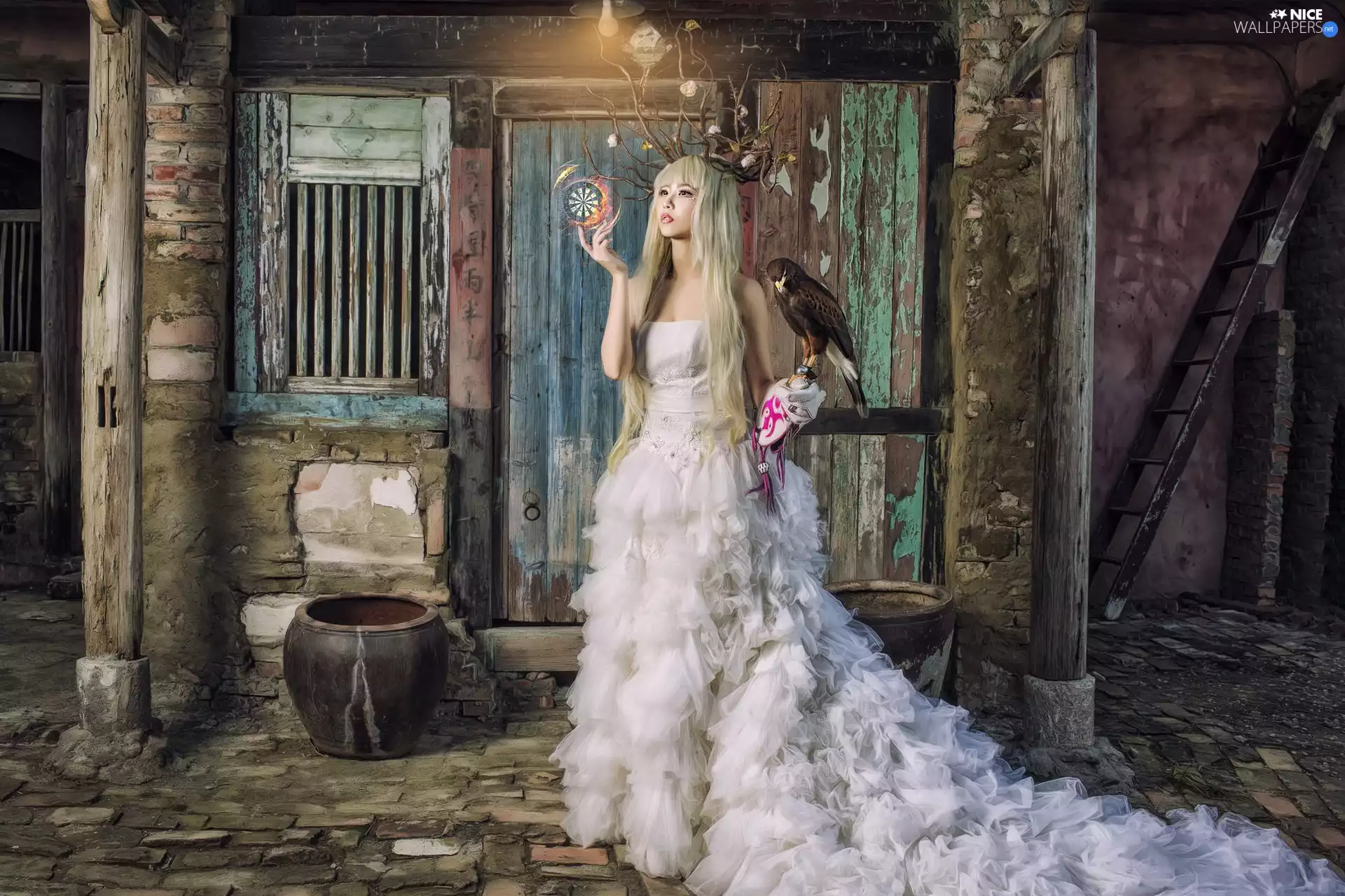 Asian, Women, dress, Bird, White, Blonde