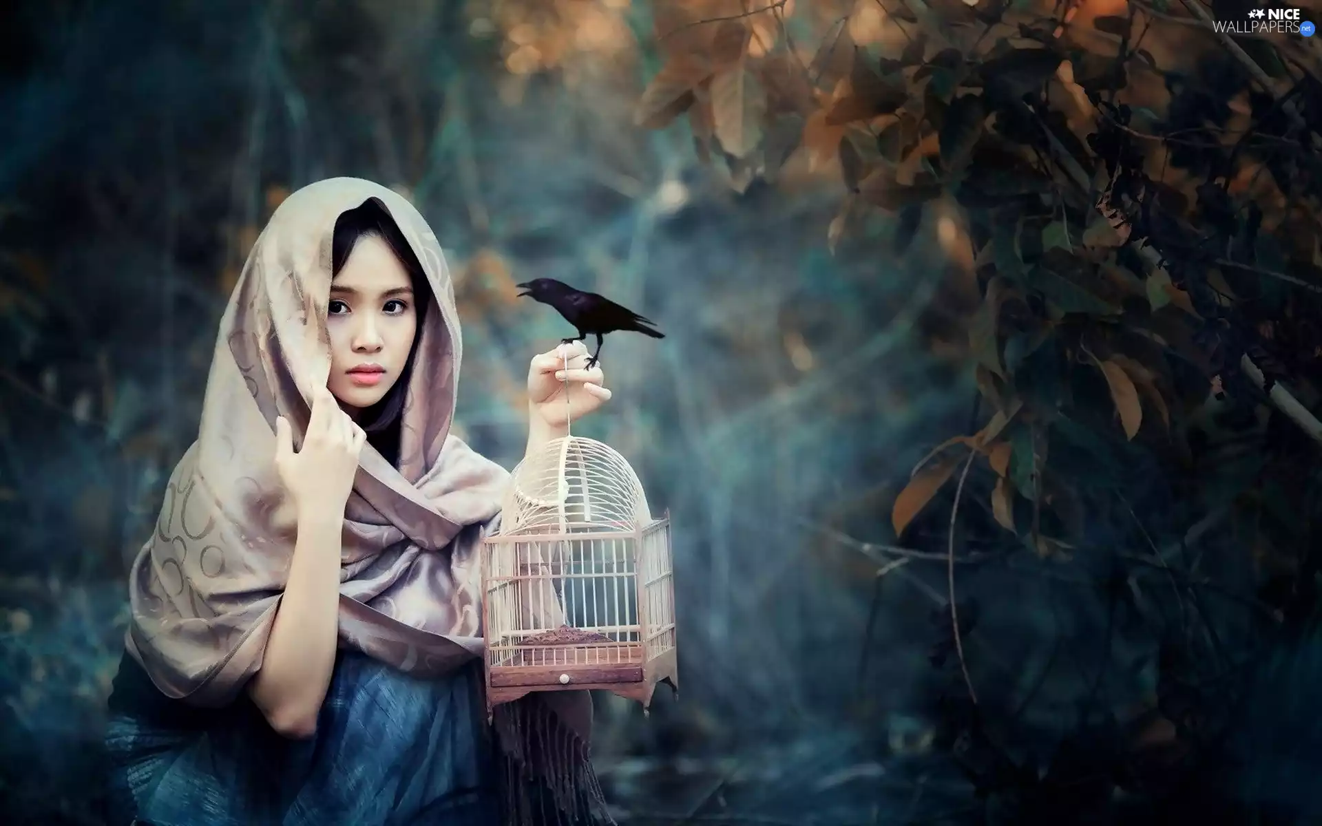 Bird, girl, Cage