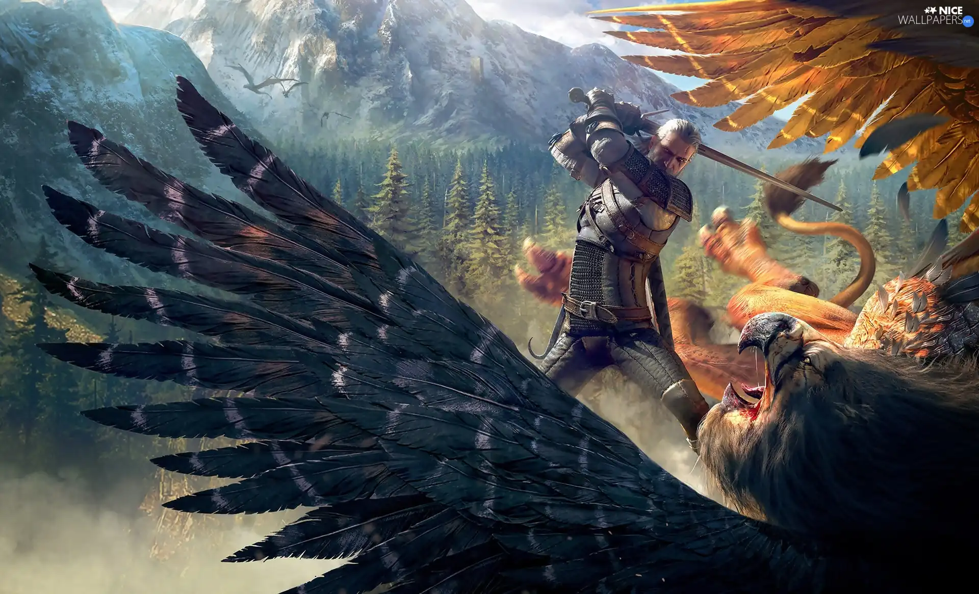 The Witcher 3 Wild Hunt, game, Bird, Fight, Geralt of Rivia, The Witcher 3 Wild Hunt