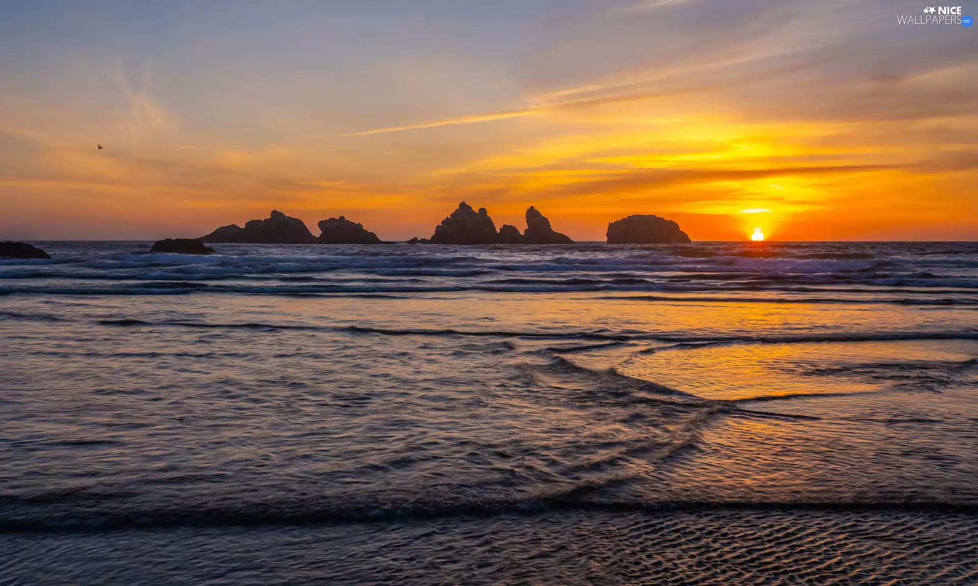 Waves, sea, Sky, Bird, Great Sunsets, rocks