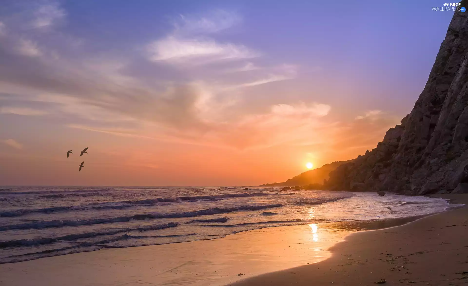 Sunrise, birds, Beaches, rocks, sea