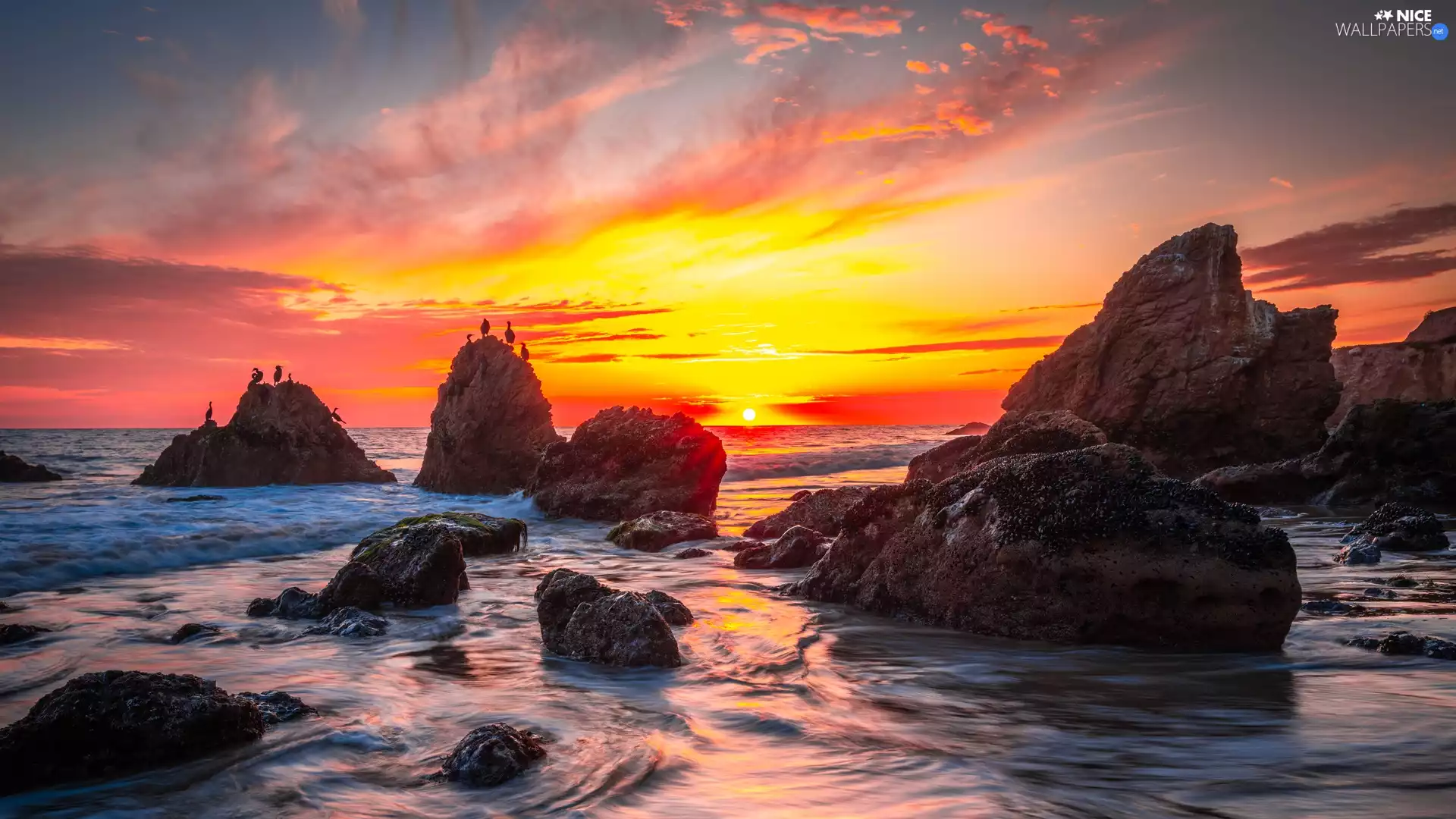 sea, birds, Great Sunsets, rocks