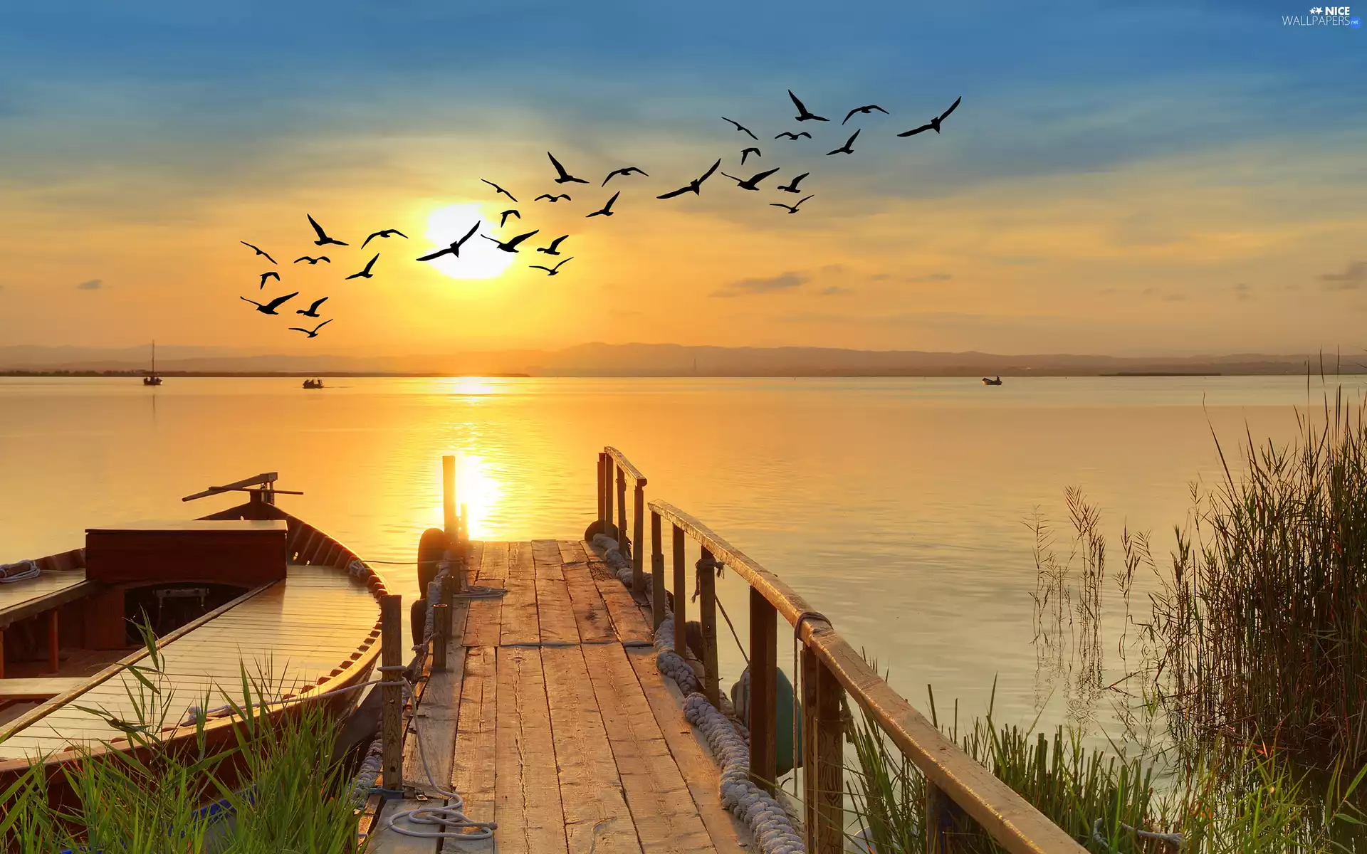 Platform, birds, Sunrise, boats, lake