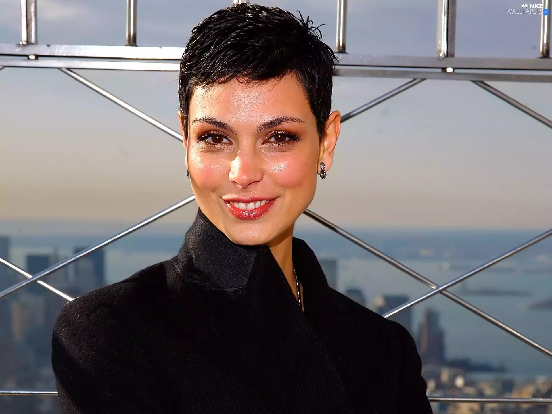coat, grating, Smile, Black, Morena Baccarin