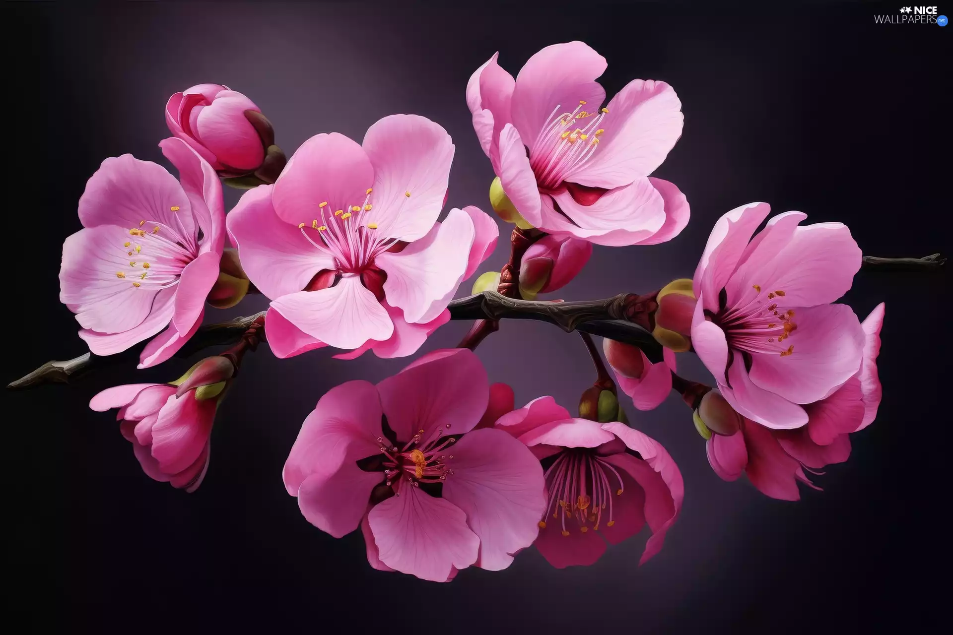 Fruit Tree, Pink, Black, Ai, background, Flowers